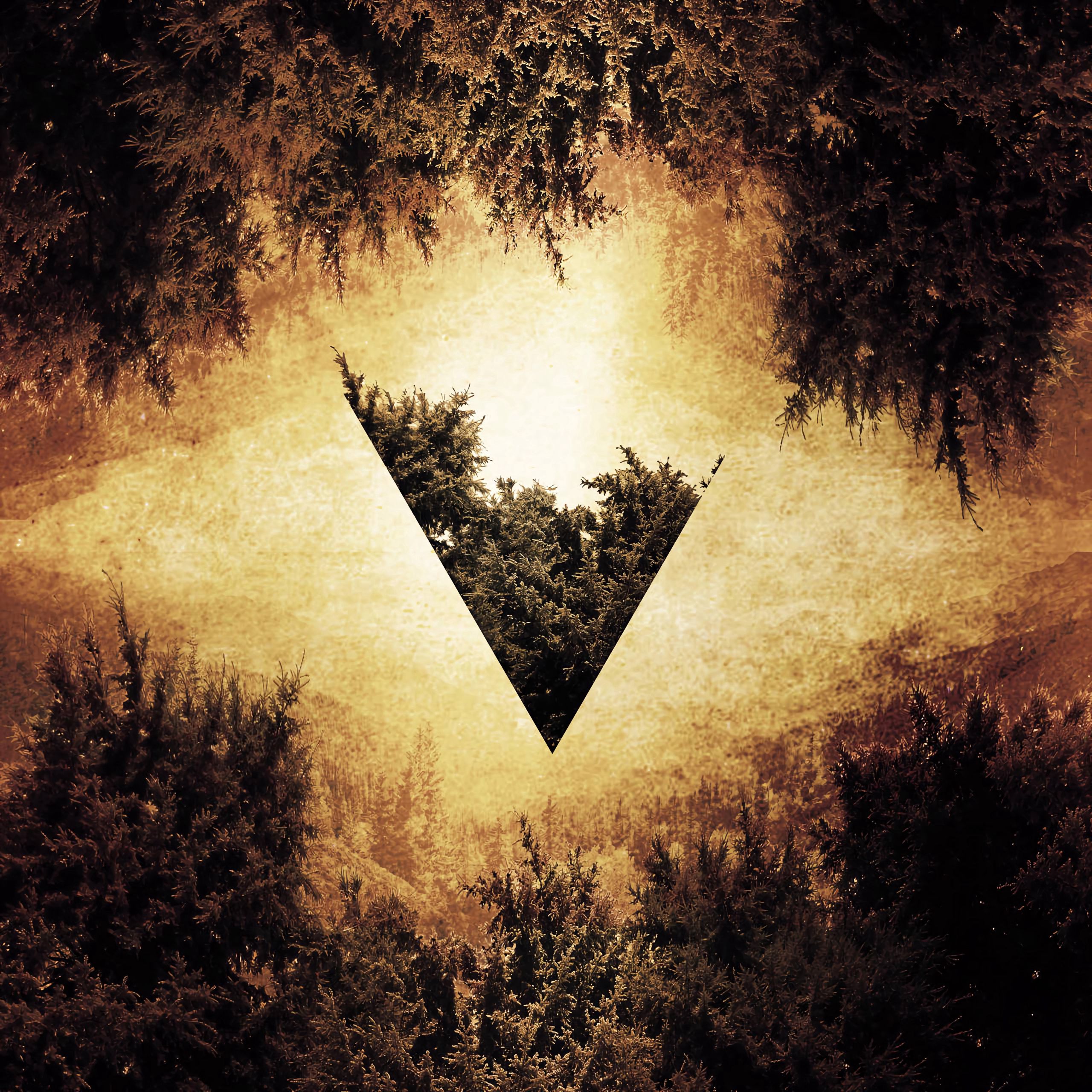 illusion, triangle, trees, shine, light, miscellanea, miscellaneous, forest HD wallpaper