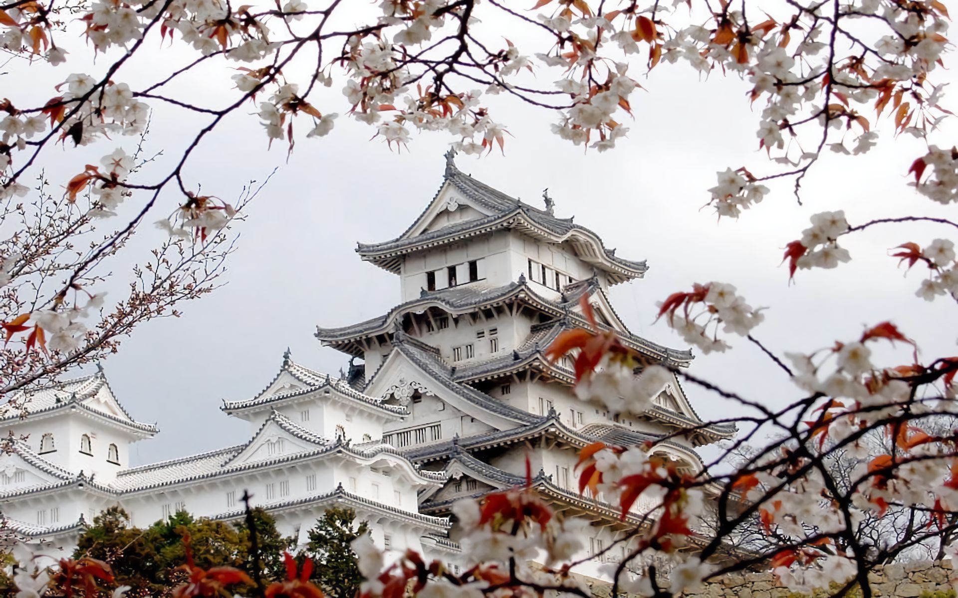japan, man made, castles, sakura, spring, himeji castle, hyogo, sakura blossom