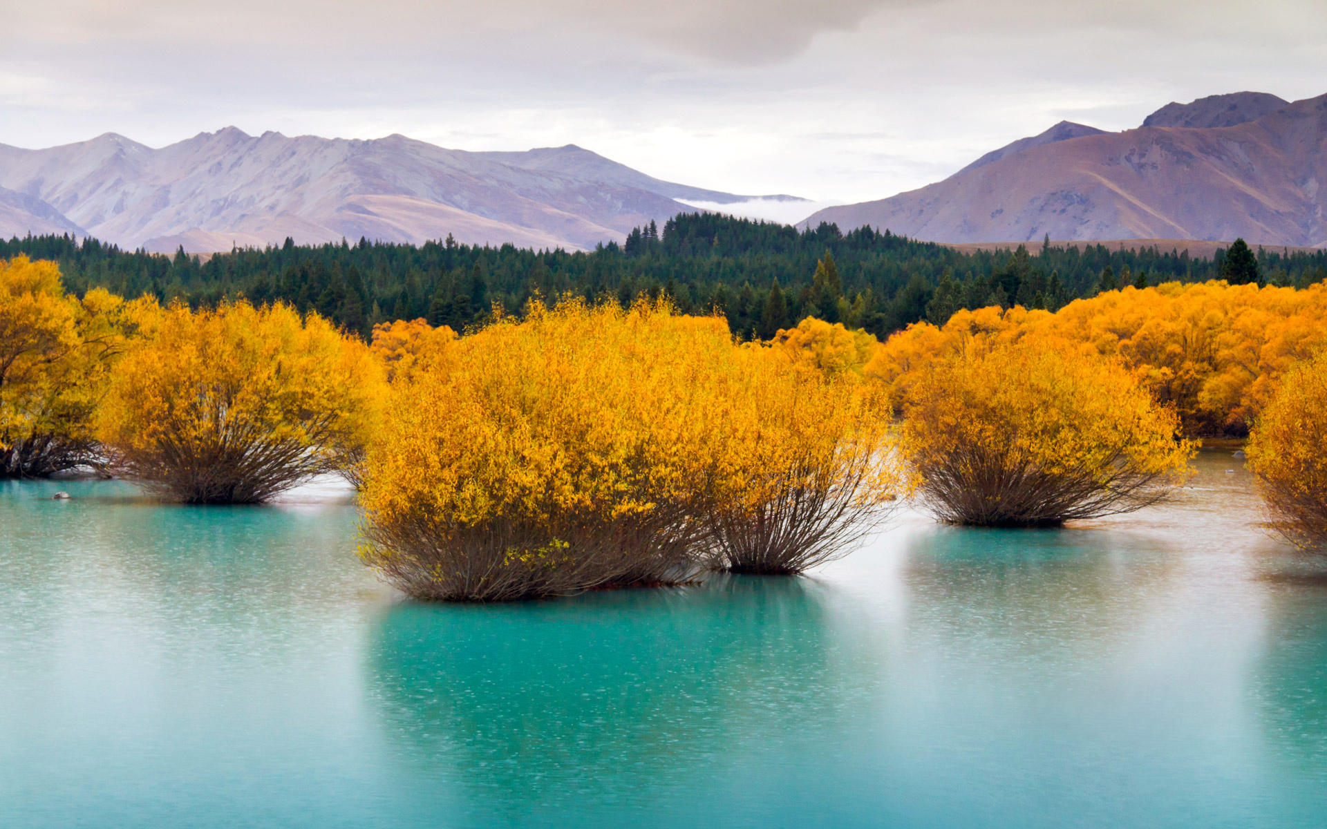 Descarga gratis la imagen Paisaje, Naturaleza, Montaña, Lago, Nueva Zelanda, Bosque, Tierra/naturaleza en el escritorio de tu PC