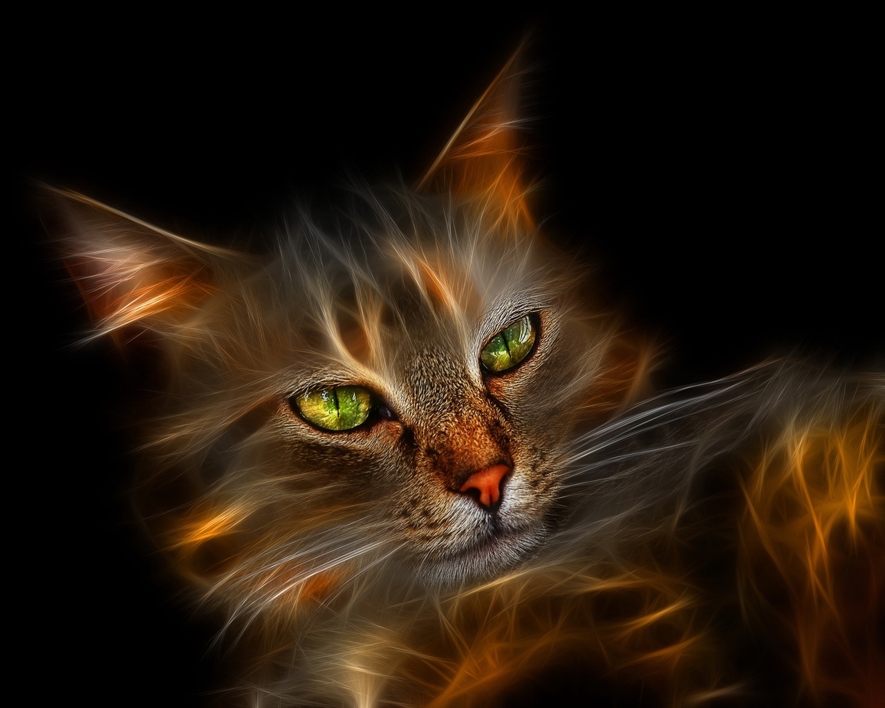 cats, art, animals, orange wallpapers for tablet