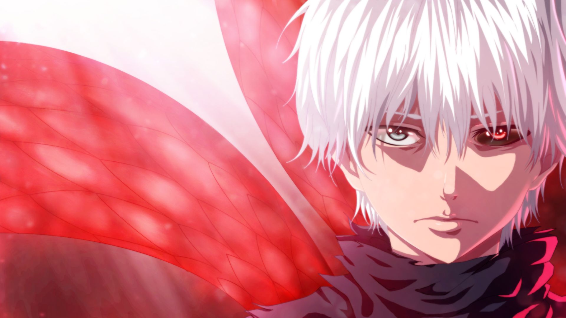 Téléchargez gratuitement l'image Animé, Ken Kaneki, Tokyo Ghoul sur le bureau de votre PC