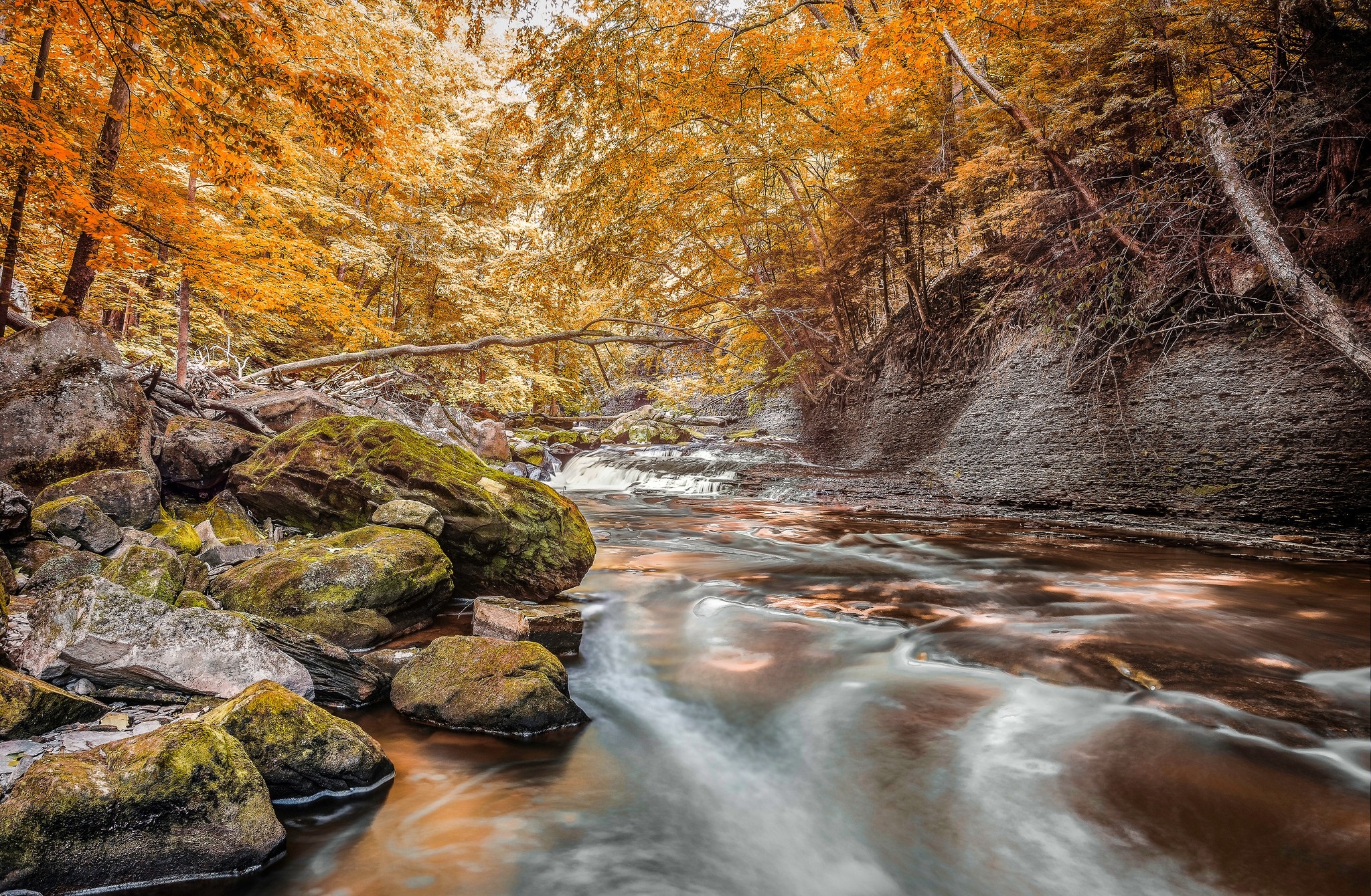 Free download wallpaper Tree, Earth, River on your PC desktop