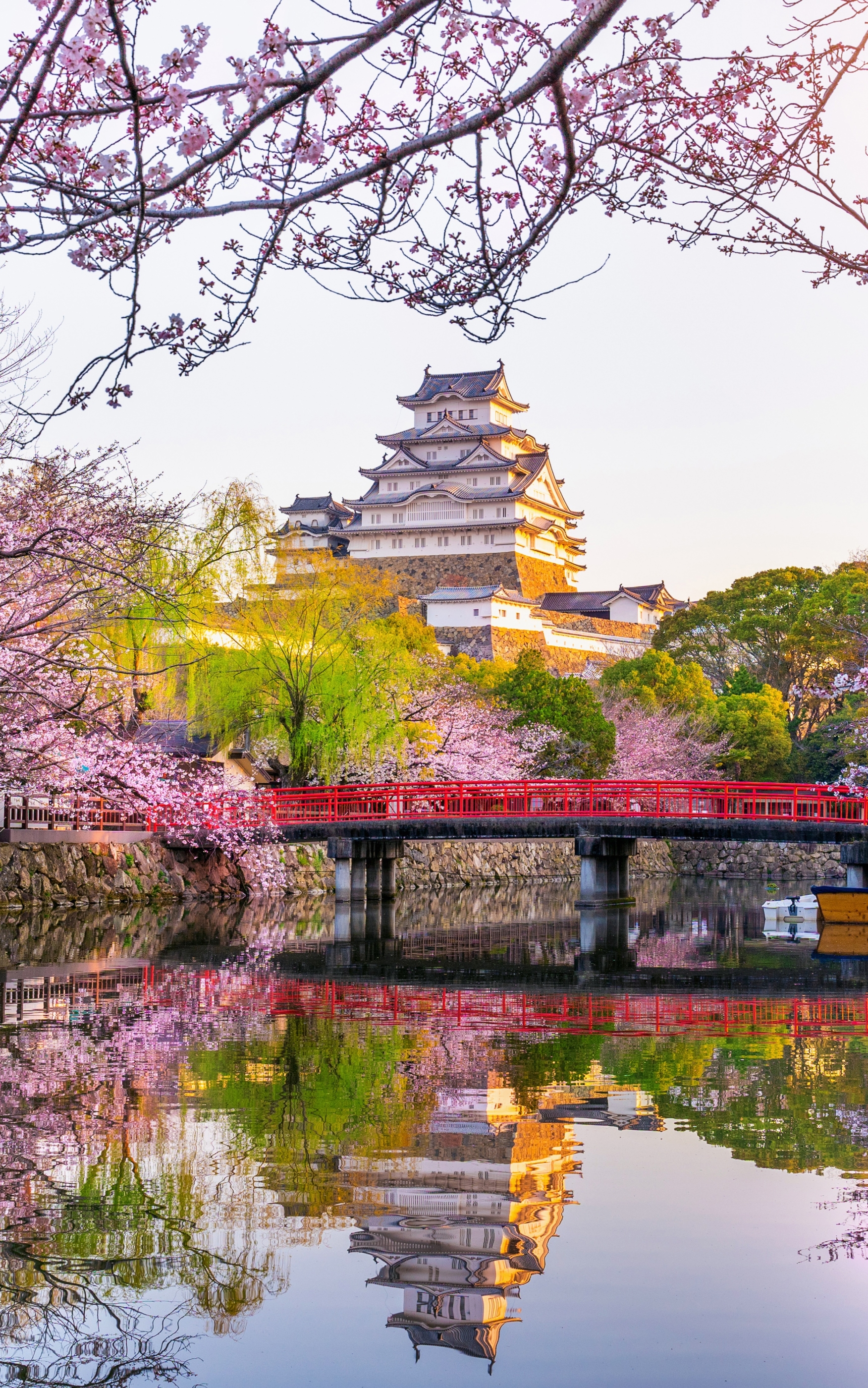 1180135画像をダウンロードマンメイド, 姫路城, 反射, 春, 花, 城, さくら, 日本-壁紙とスクリーンセーバーを無料で