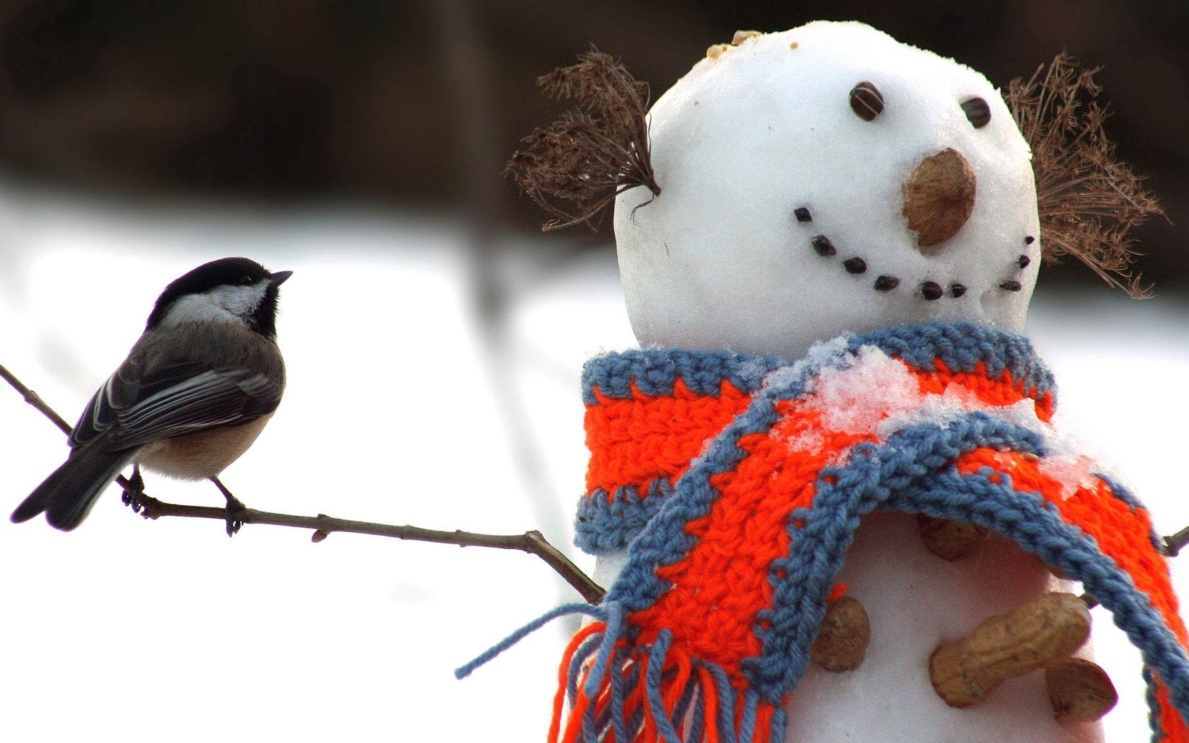 85830 завантажити картинку тварини, зима, сніг, птах, сніговик, сніговика, синиця, тітіка, шарф - шпалери і заставки безкоштовно