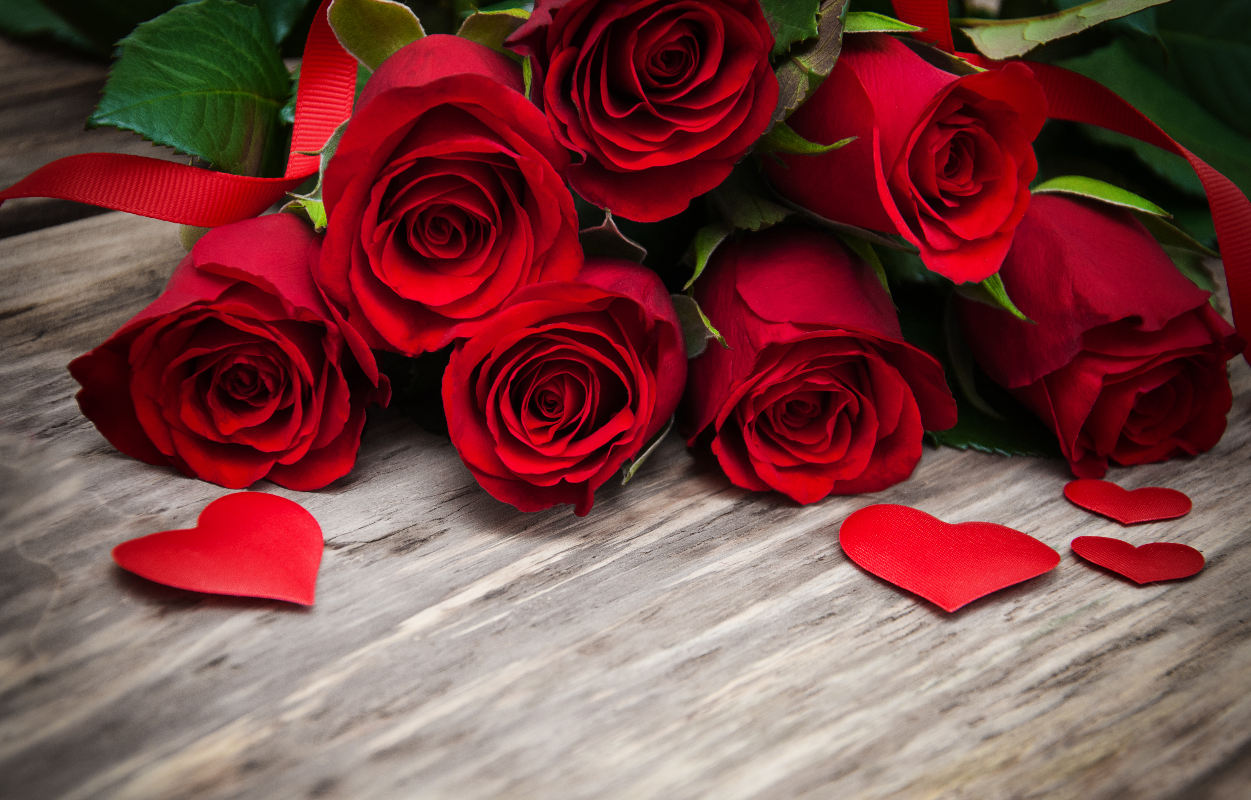 Free download wallpaper Valentine's Day, Flower, Holiday, Heart, Red Rose, Red Flower on your PC desktop