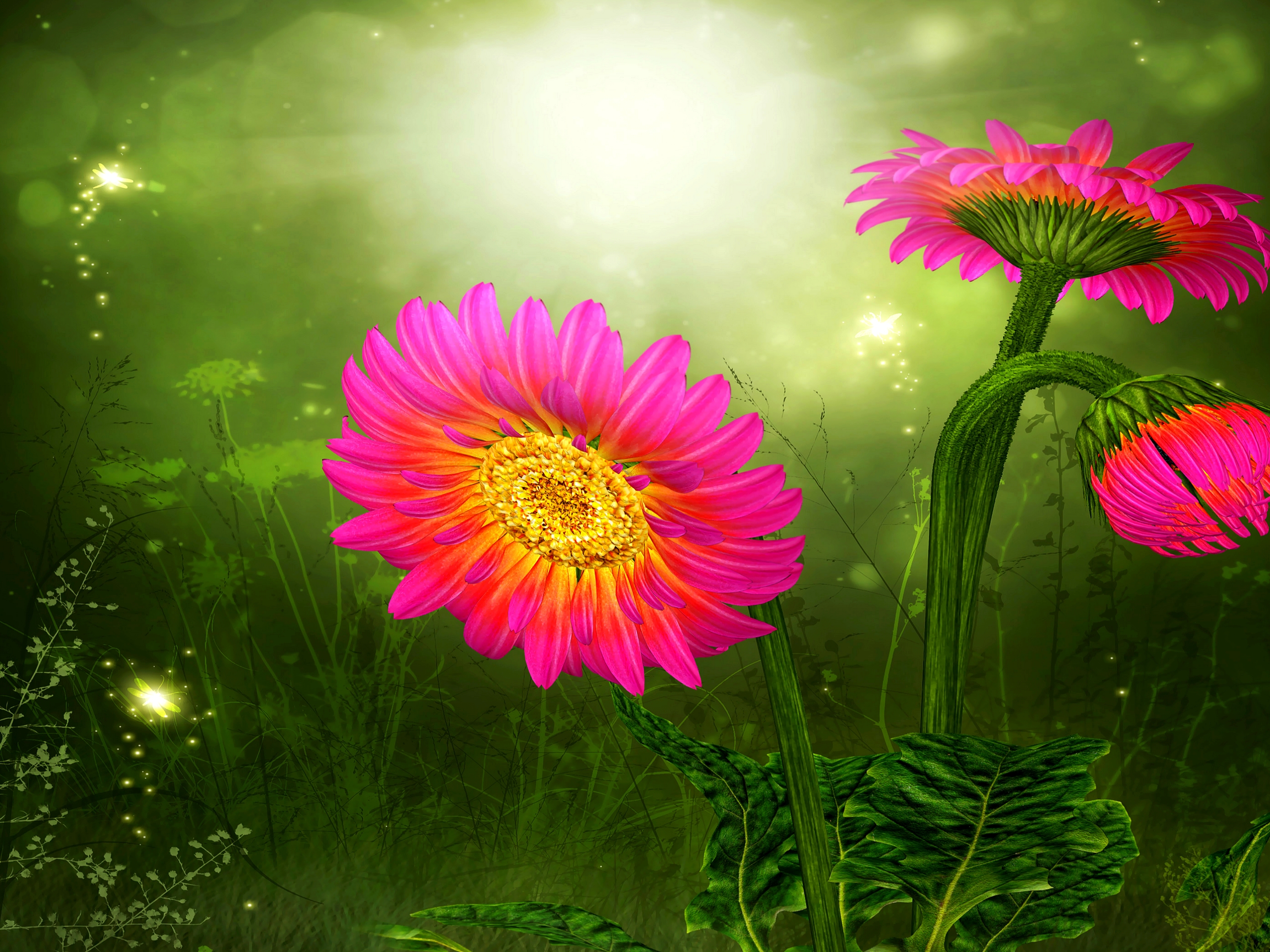 Free download wallpaper Flowers, Flower, Leaf, Artistic, Gerbera, Dragonfly, Pink Flower on your PC desktop
