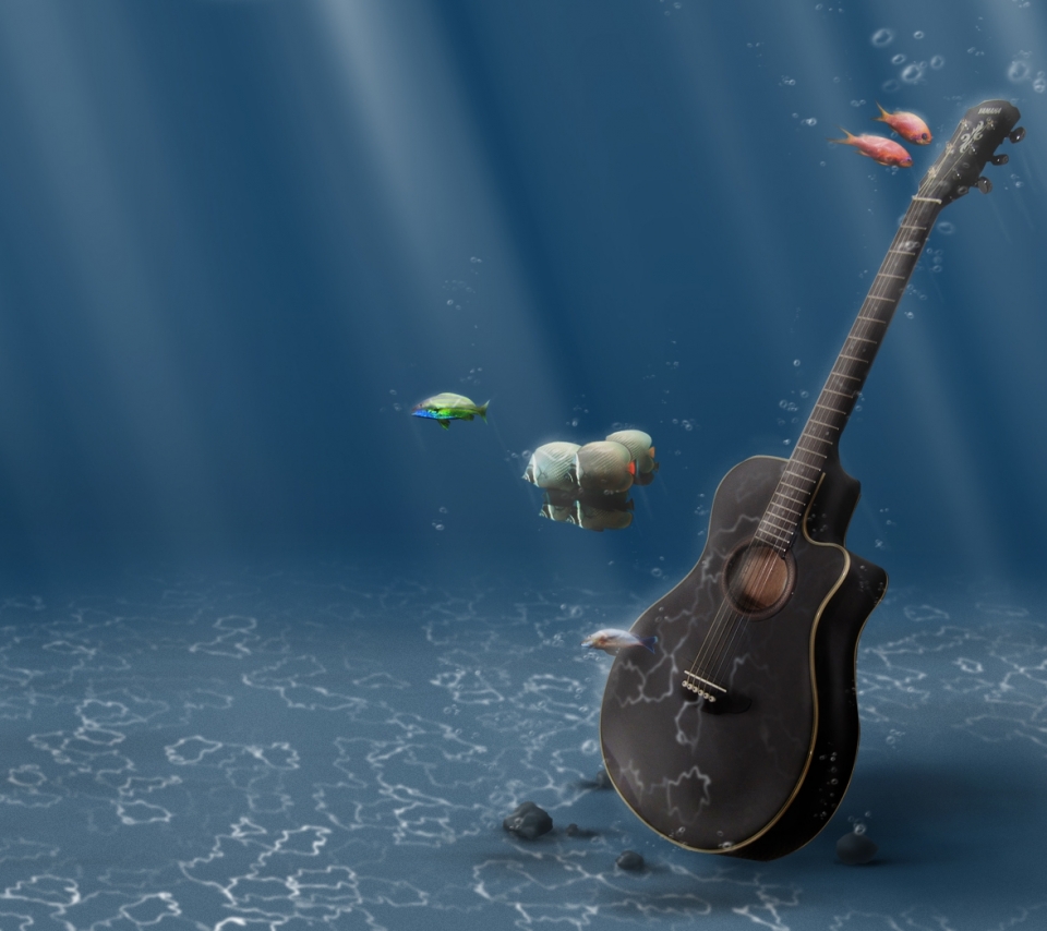 Laden Sie das Musik, Fische, Gitarre, Fisch-Bild kostenlos auf Ihren PC-Desktop herunter