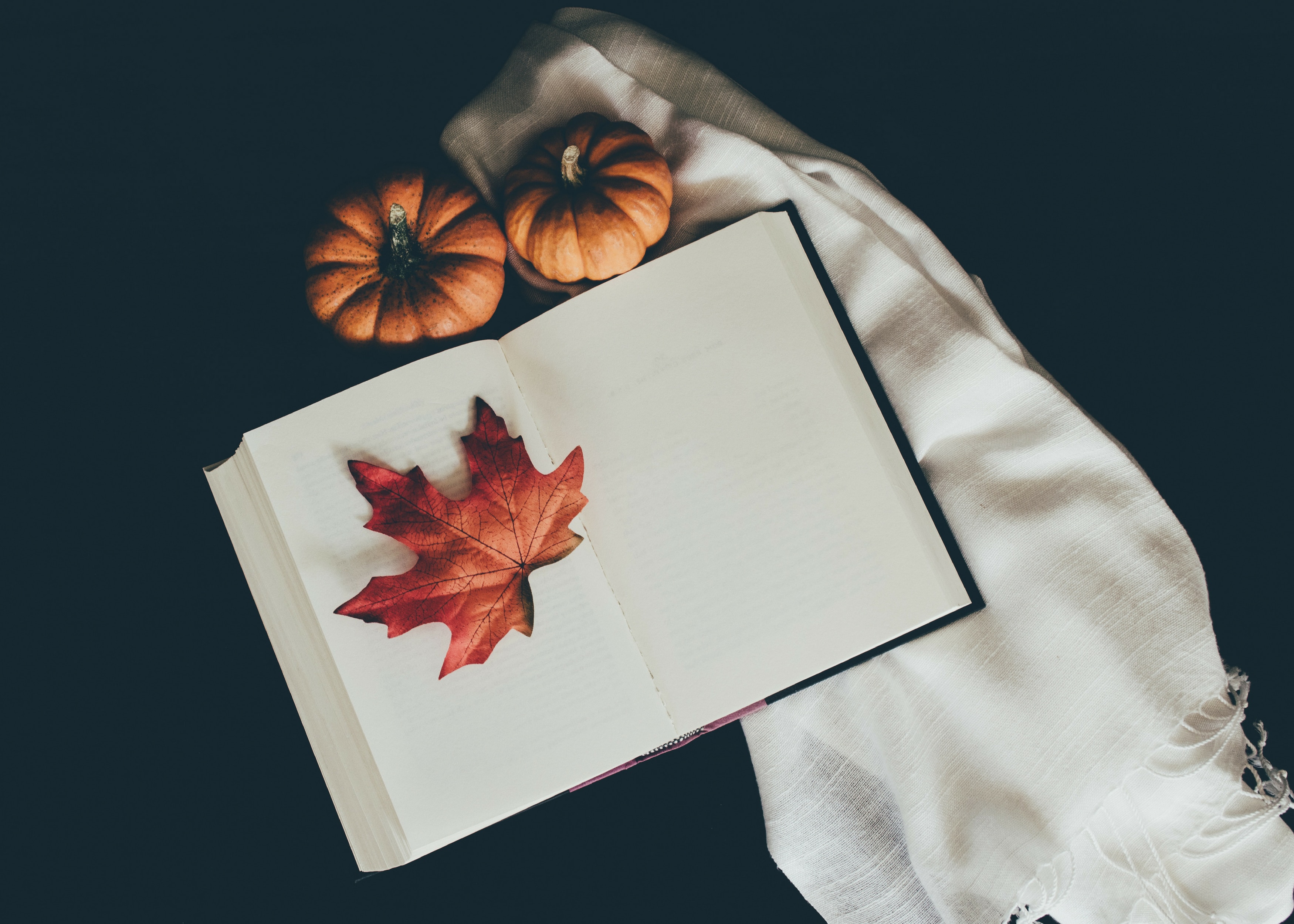 miscellanea, pumpkin, autumn, miscellaneous, book, leaflet, scarf