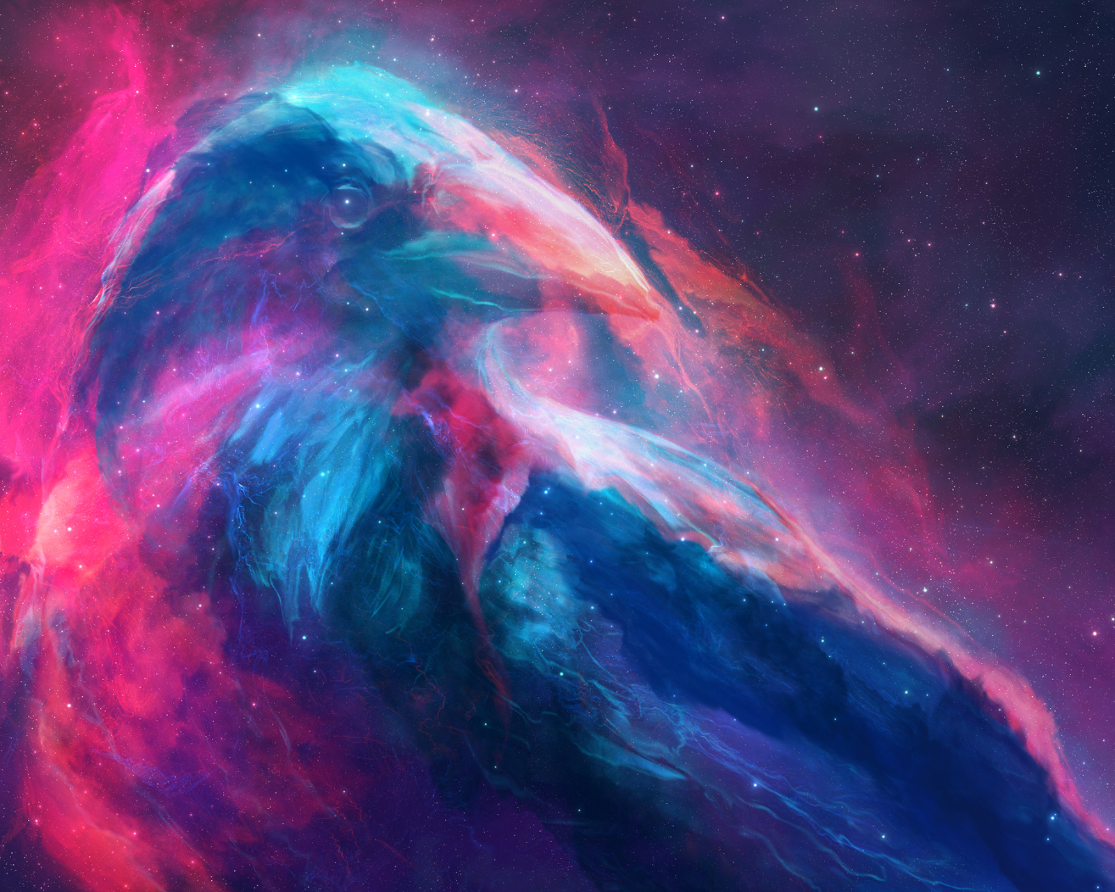 Download mobile wallpaper Bird, Colors, Animal, Space, Artistic for free.