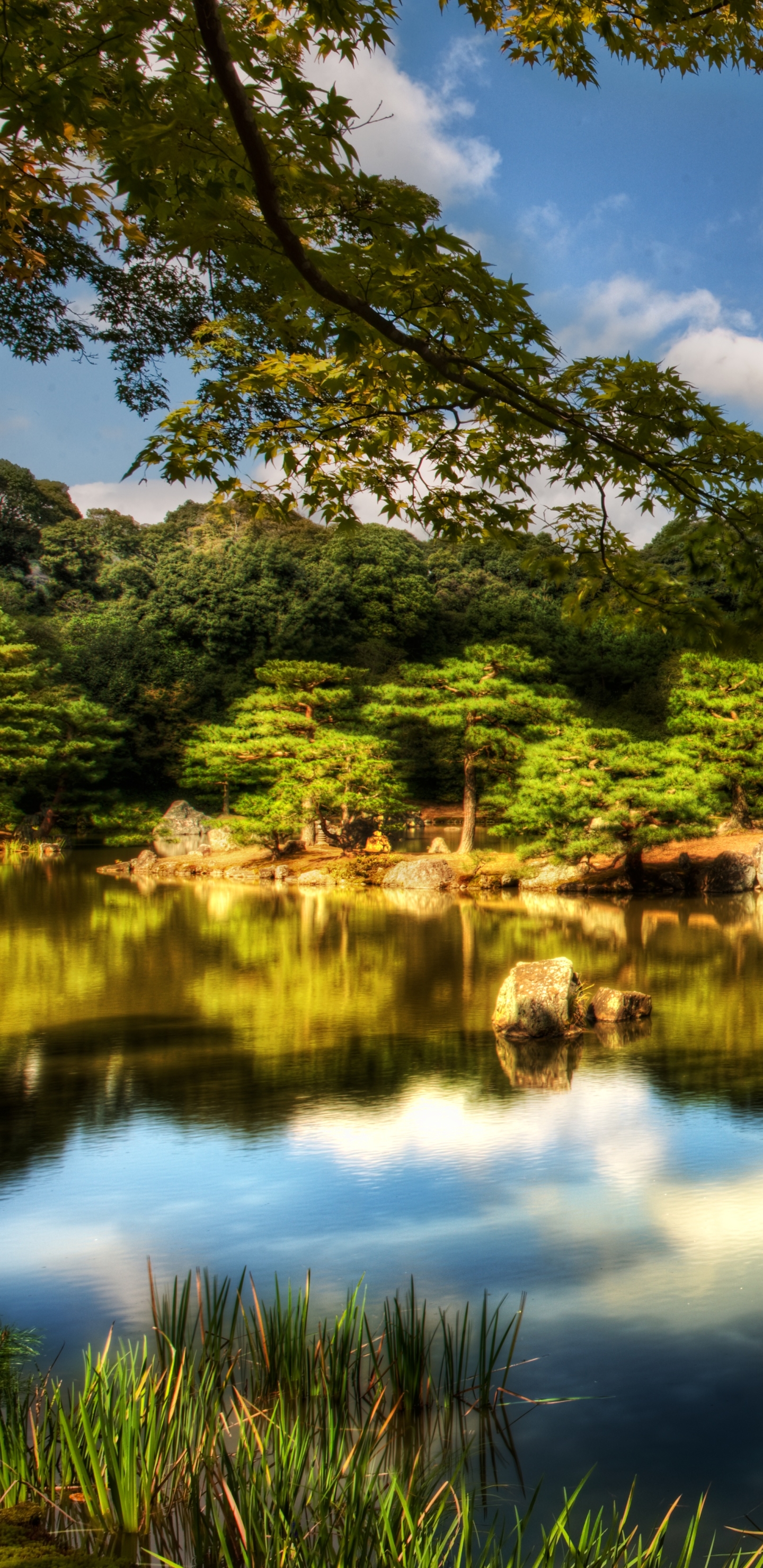 1146810 Hintergrundbild herunterladen religiös, kinkaku ji, kyōto, japan, tempel - Bildschirmschoner und Bilder kostenlos