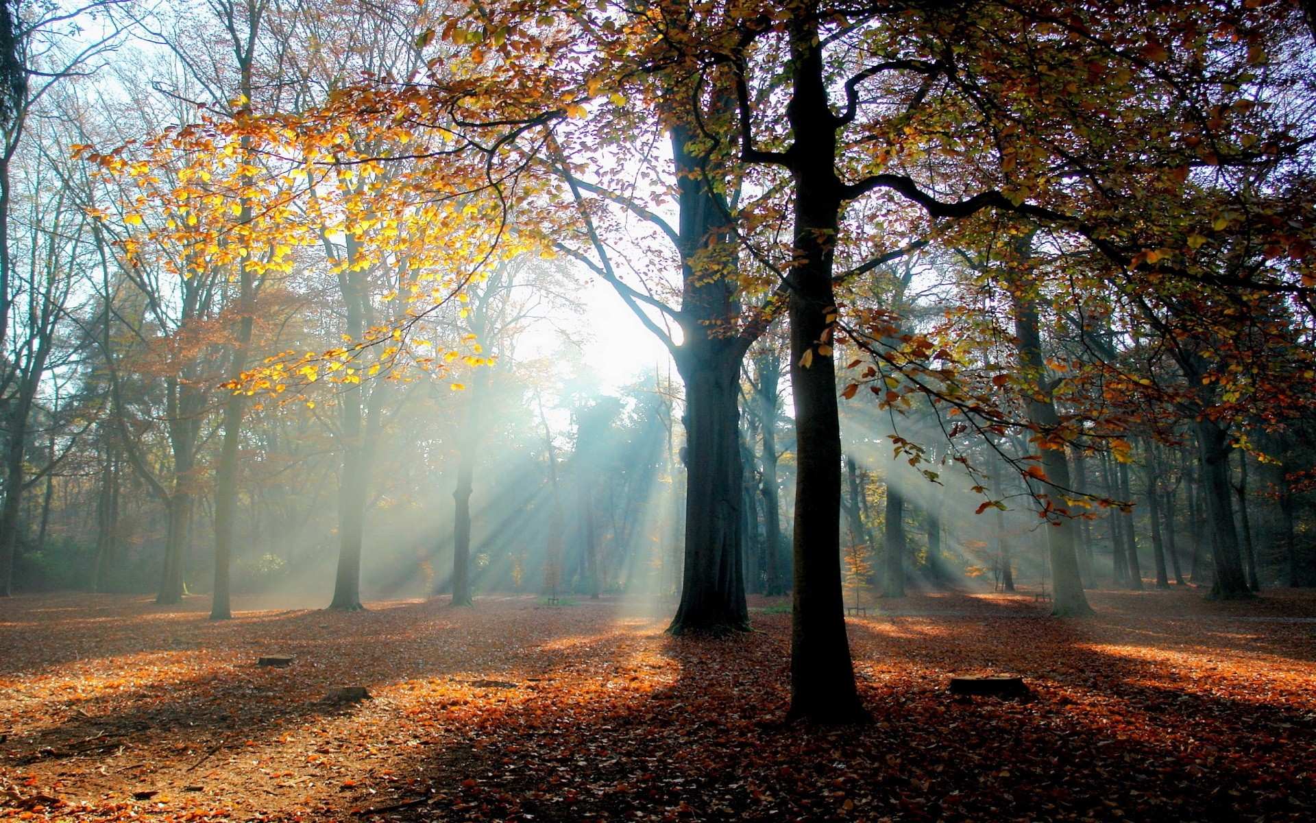 Téléchargez gratuitement l'image Automne, Terre/nature sur le bureau de votre PC