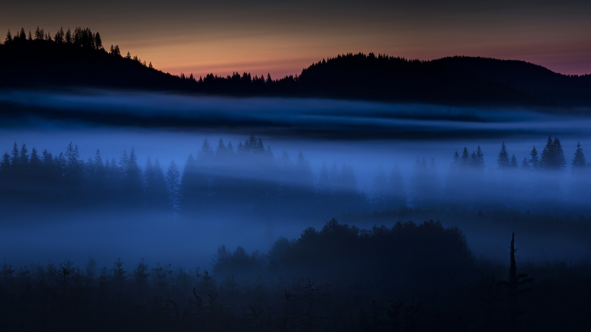 Free download wallpaper Forest, Fog, Earth, Dusk on your PC desktop