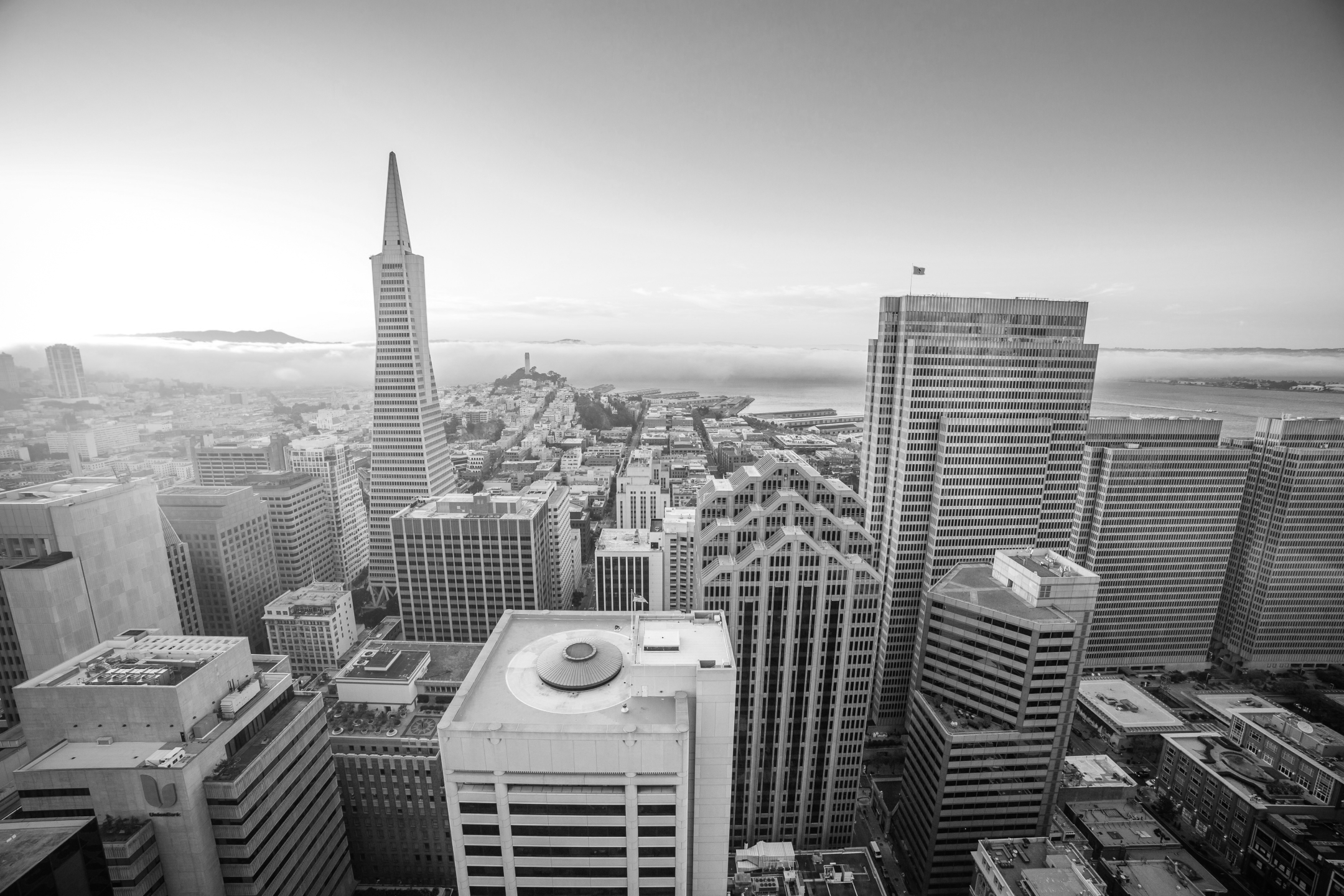 Download mobile wallpaper Cities, Usa, City, Skyscraper, Building, Horizon, San Francisco, Man Made for free.
