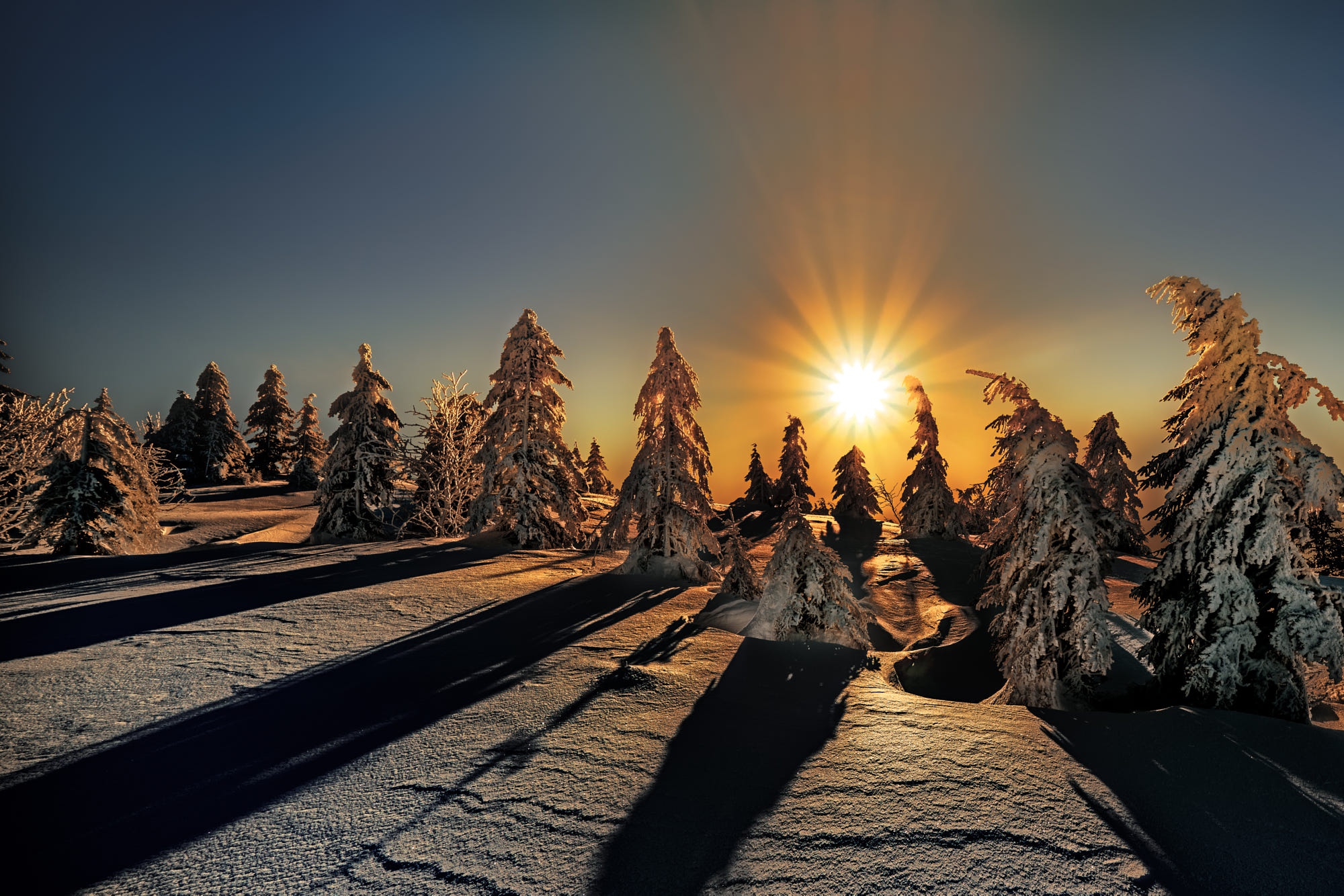 PCデスクトップに冬, 自然, 日没, 雪, 地球, スプルース画像を無料でダウンロード