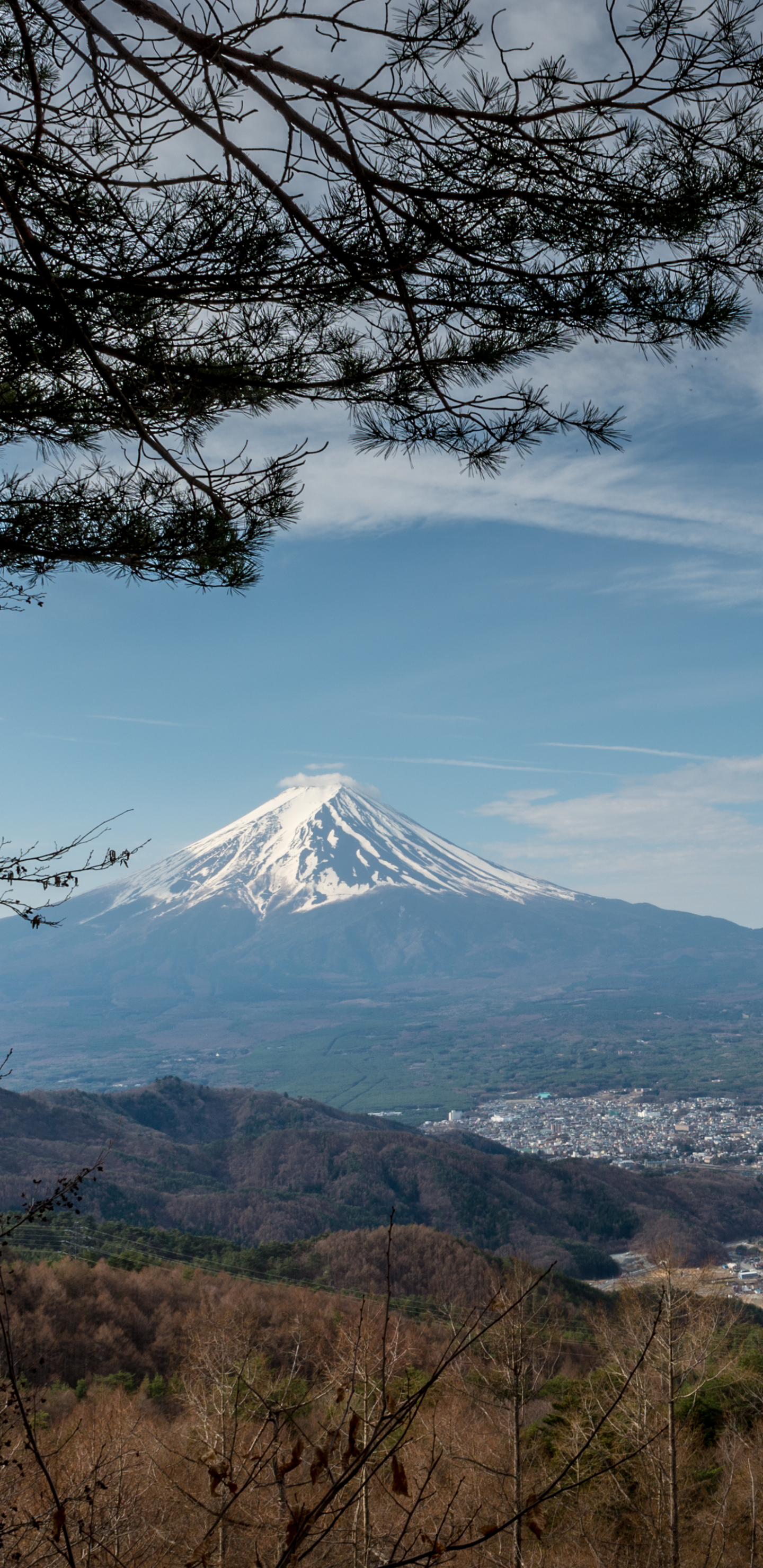 Laden Sie das Japan, Frühling, Fujisan, Vulkane, Erde/natur, Kawaguchi See, Yamanashi-Bild kostenlos auf Ihren PC-Desktop herunter
