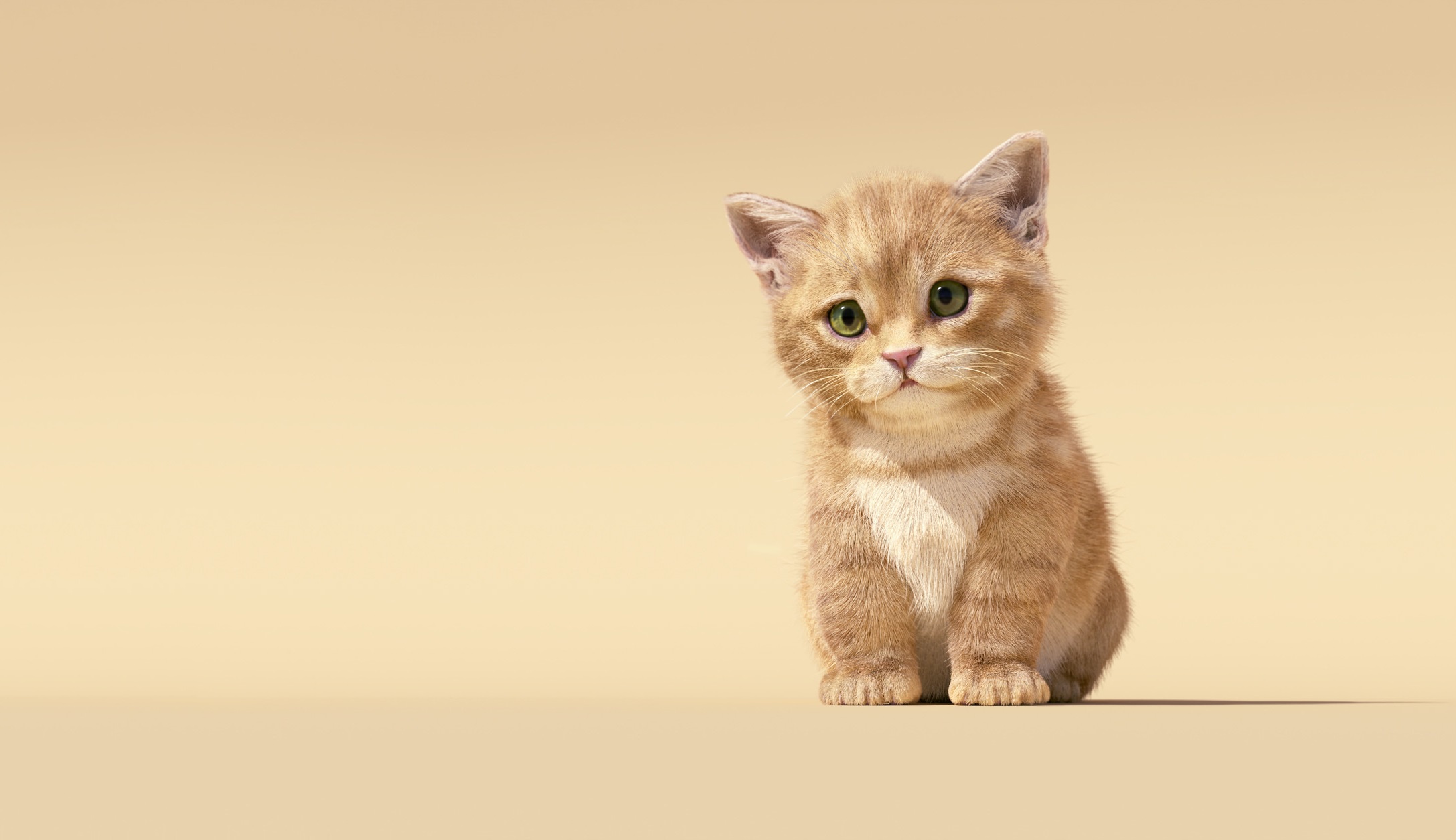 Baixar papel de parede para celular de Animais, Gatos, Gato, Gatinho, Fofo, Animal Bebê gratuito.