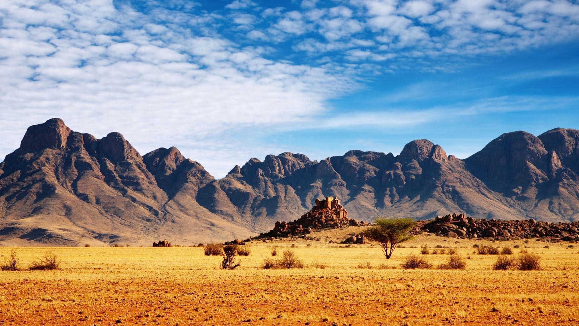 Free download wallpaper Mountains, Bush, Tree, Nature, Desert, Wood on your PC desktop