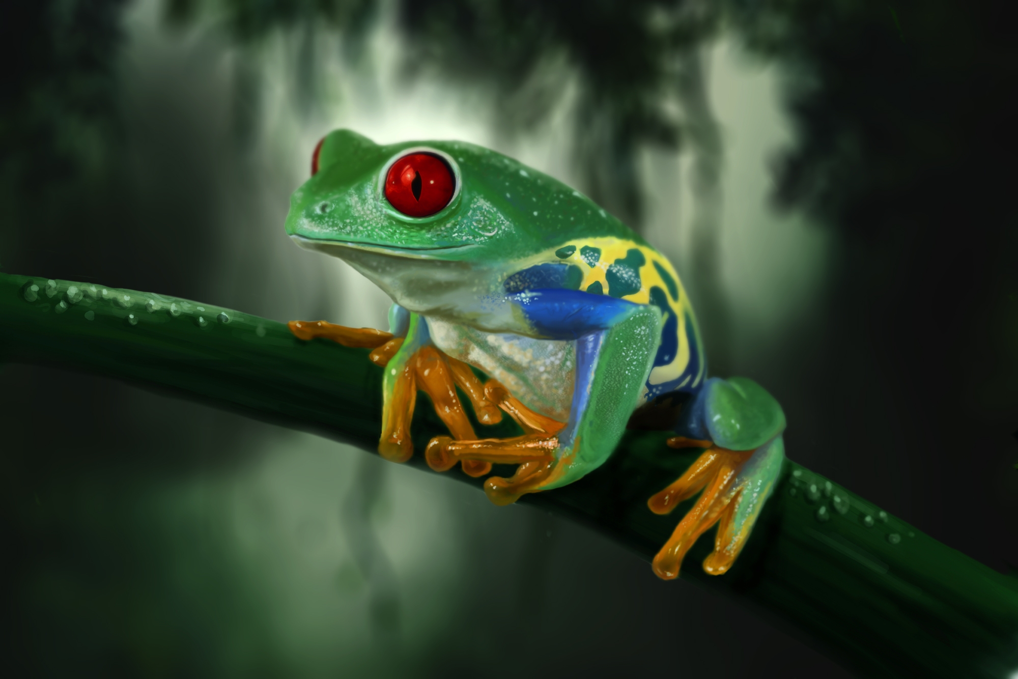 colourful, animals, branch, colorful, frog