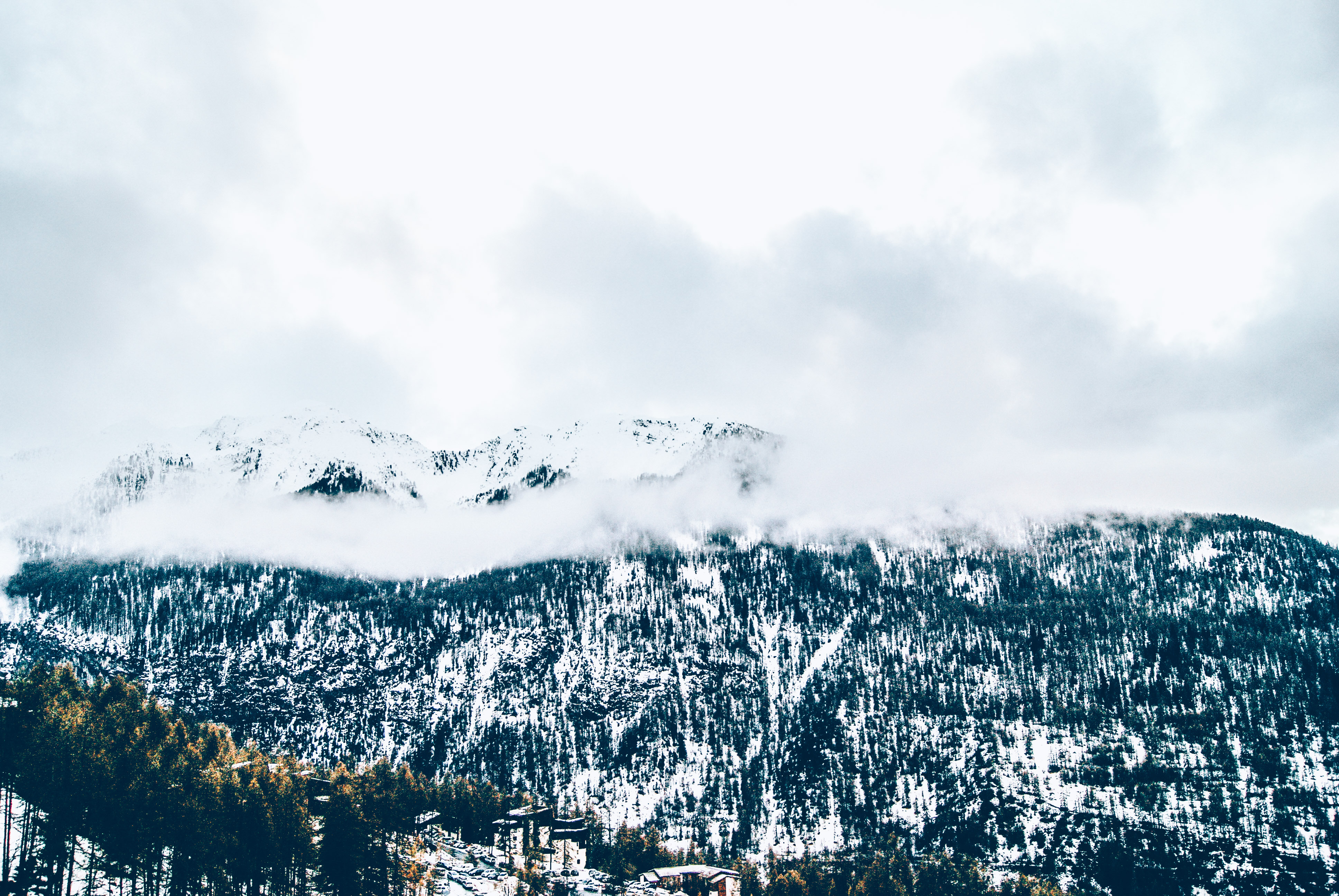 Descarga gratuita de fondo de pantalla para móvil de Naturaleza, Niebla, Árboles, Montañas, Nieve.