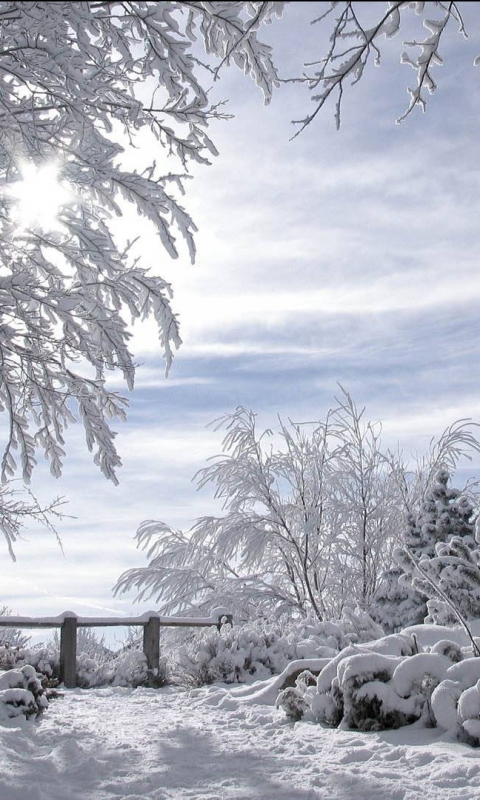 Descarga gratuita de fondo de pantalla para móvil de Invierno, Tierra/naturaleza.