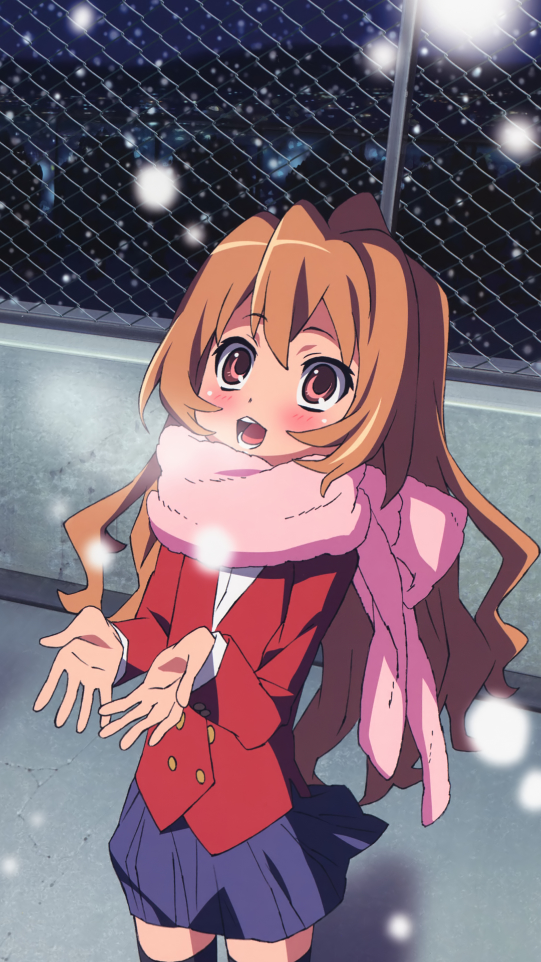 Handy-Wallpaper Animes, Toradora!, Taiga Aisaka kostenlos herunterladen.