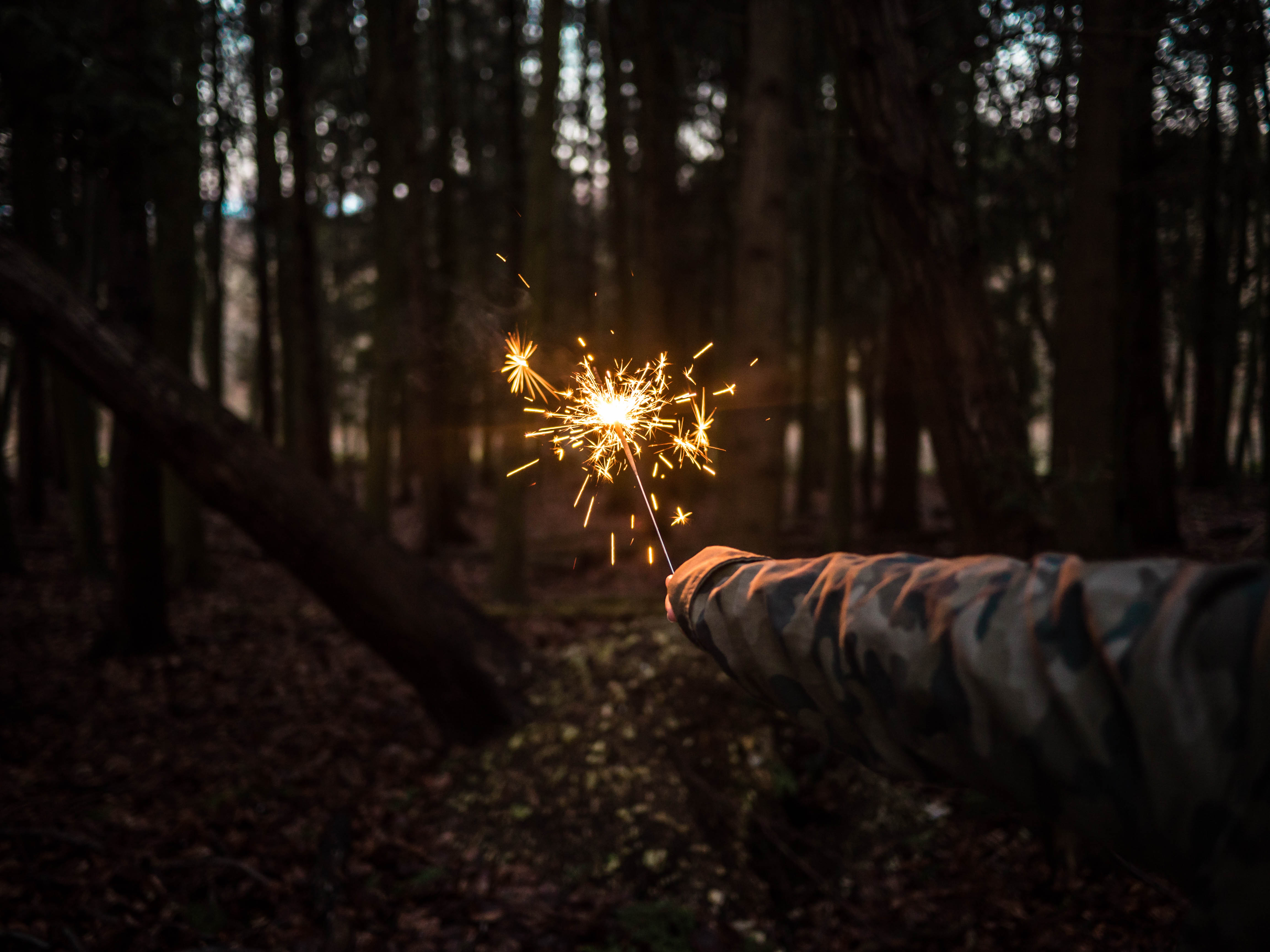 Free download wallpaper Night, Miscellanea, Miscellaneous, Forest, Sparkler, Hand on your PC desktop