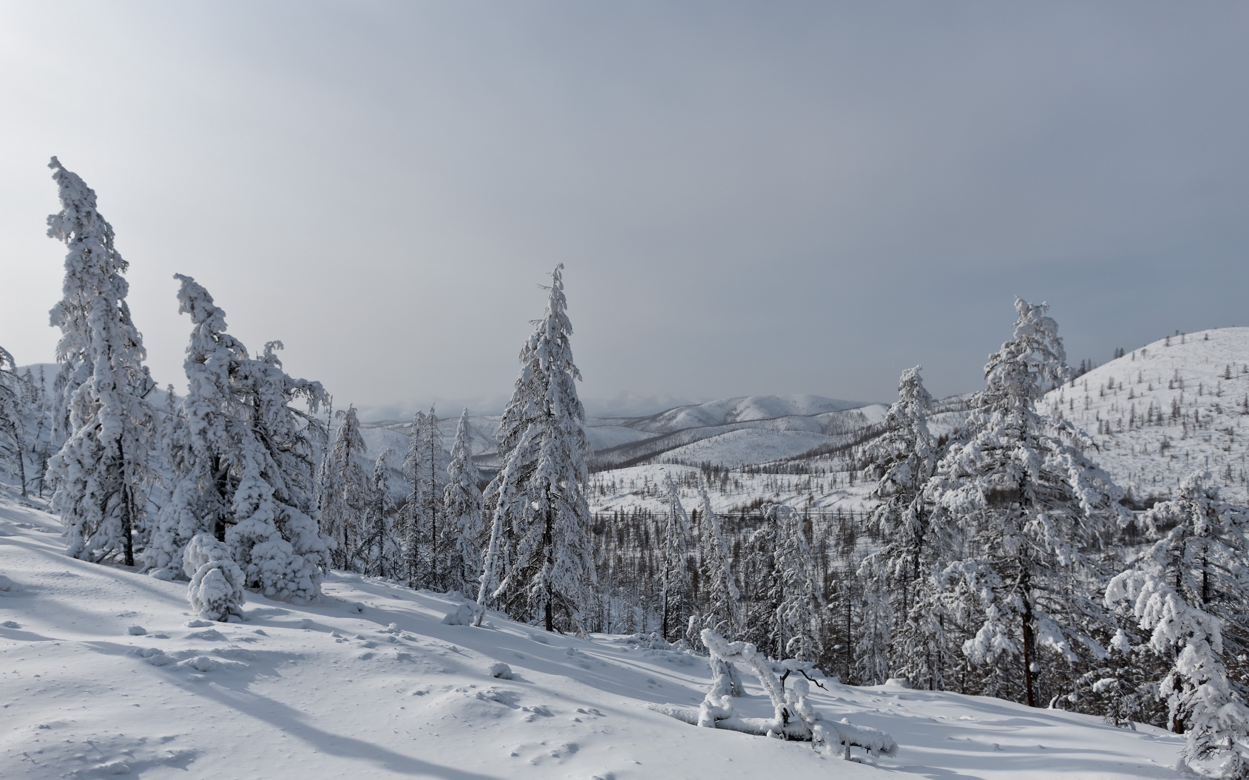 Handy-Wallpaper Winter, Erde/natur kostenlos herunterladen.