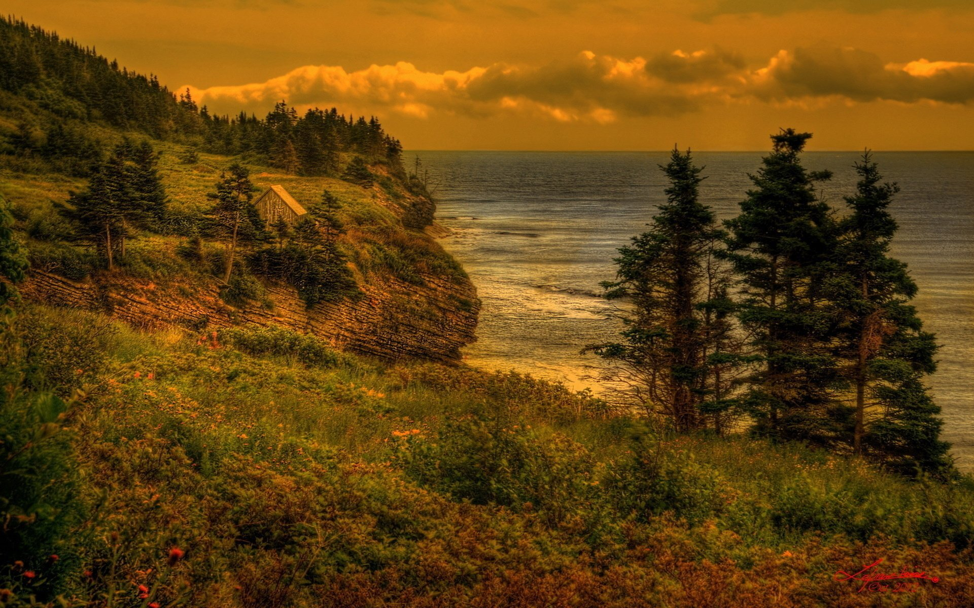 Descarga gratis la imagen Cielo, Mar, Horizonte, Costa, Árbol, Océano, Tierra/naturaleza en el escritorio de tu PC