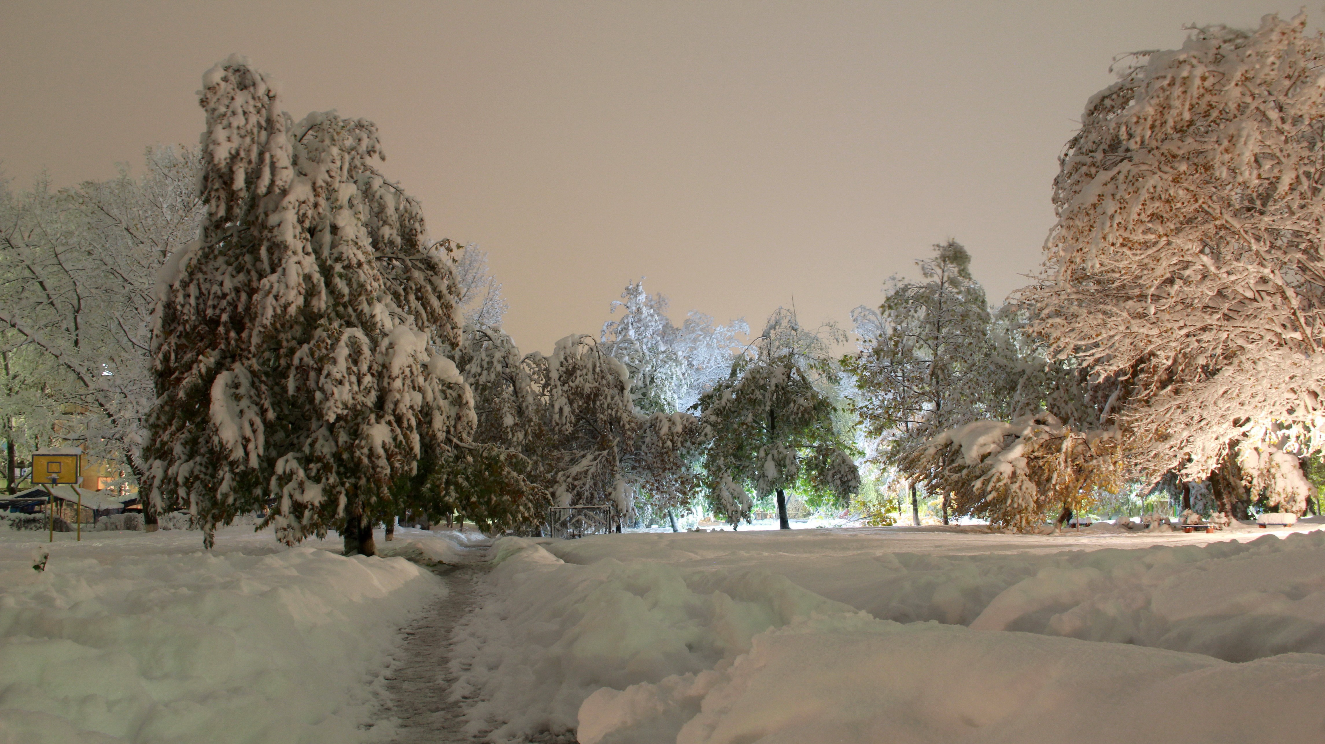 Baixe gratuitamente a imagem Inverno, Terra/natureza na área de trabalho do seu PC