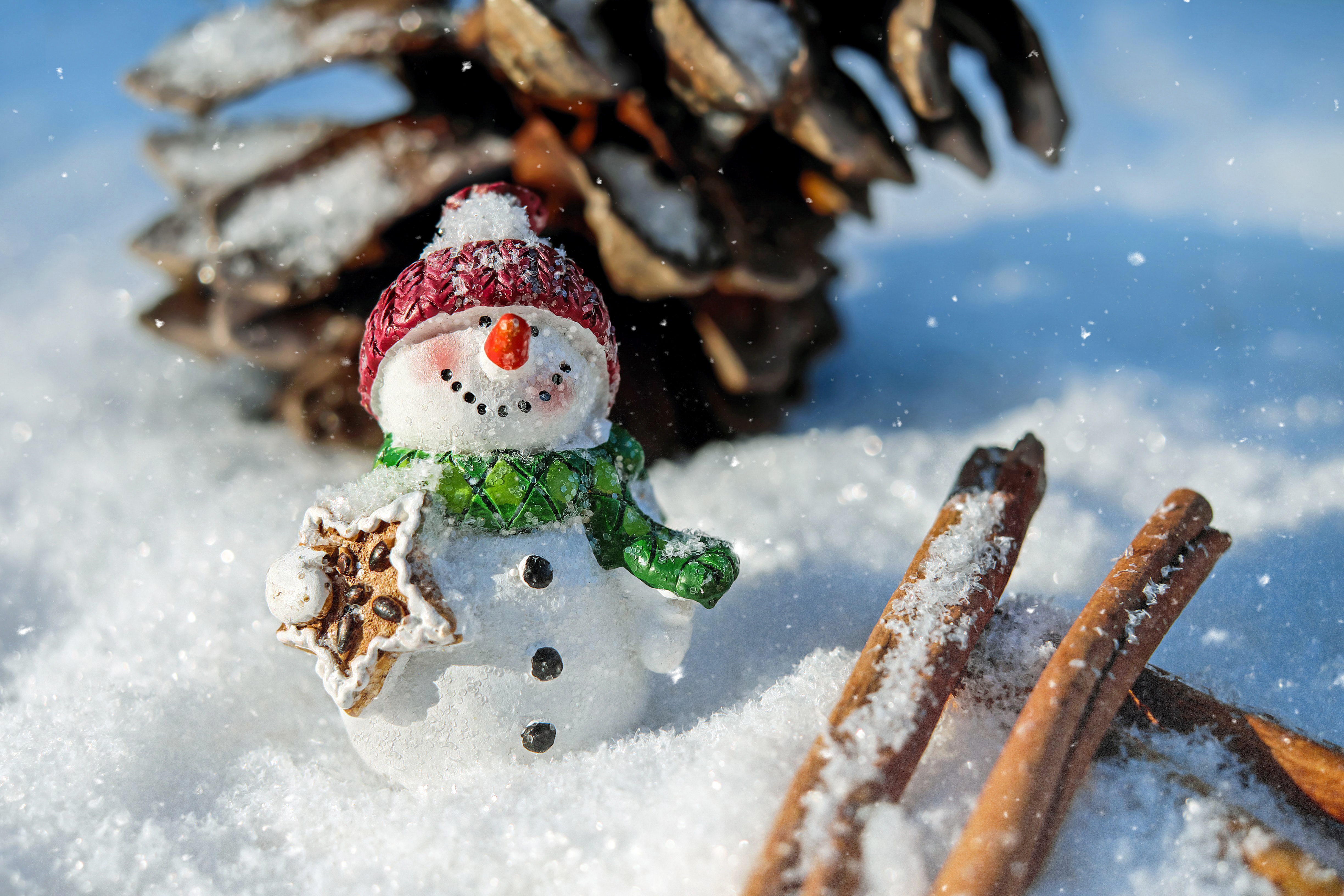 Скачать картинку Снег, Корица, Рождество, Снеговик, Фотографии в телефон бесплатно.