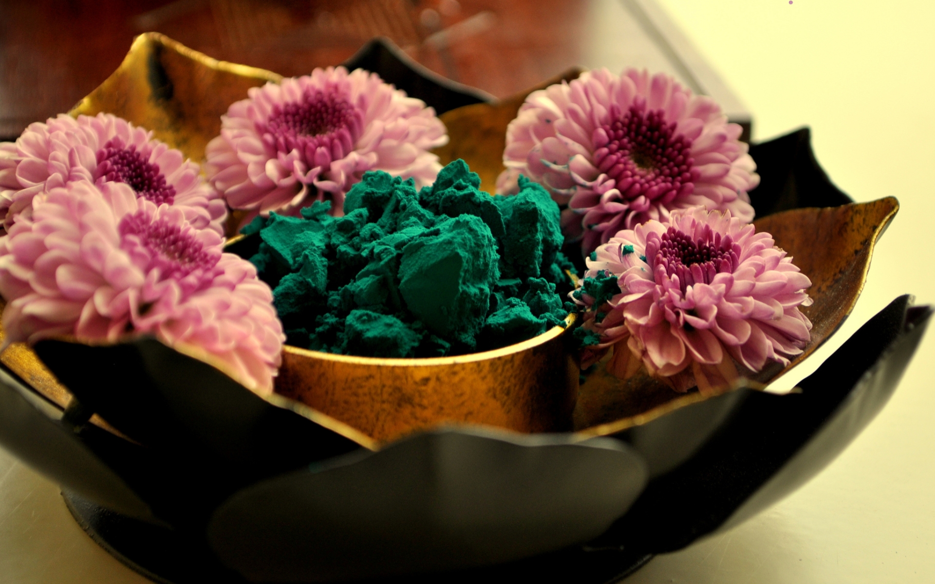 Laden Sie das Feiertage, Blume, Farben, Hallo, Pinke Blume-Bild kostenlos auf Ihren PC-Desktop herunter