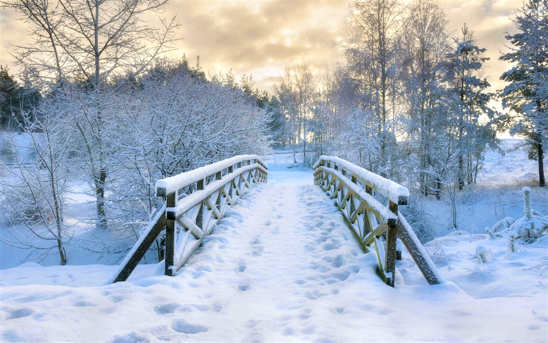 無料モバイル壁紙冬, 橋, 雪, 公園, 写真撮影をダウンロードします。