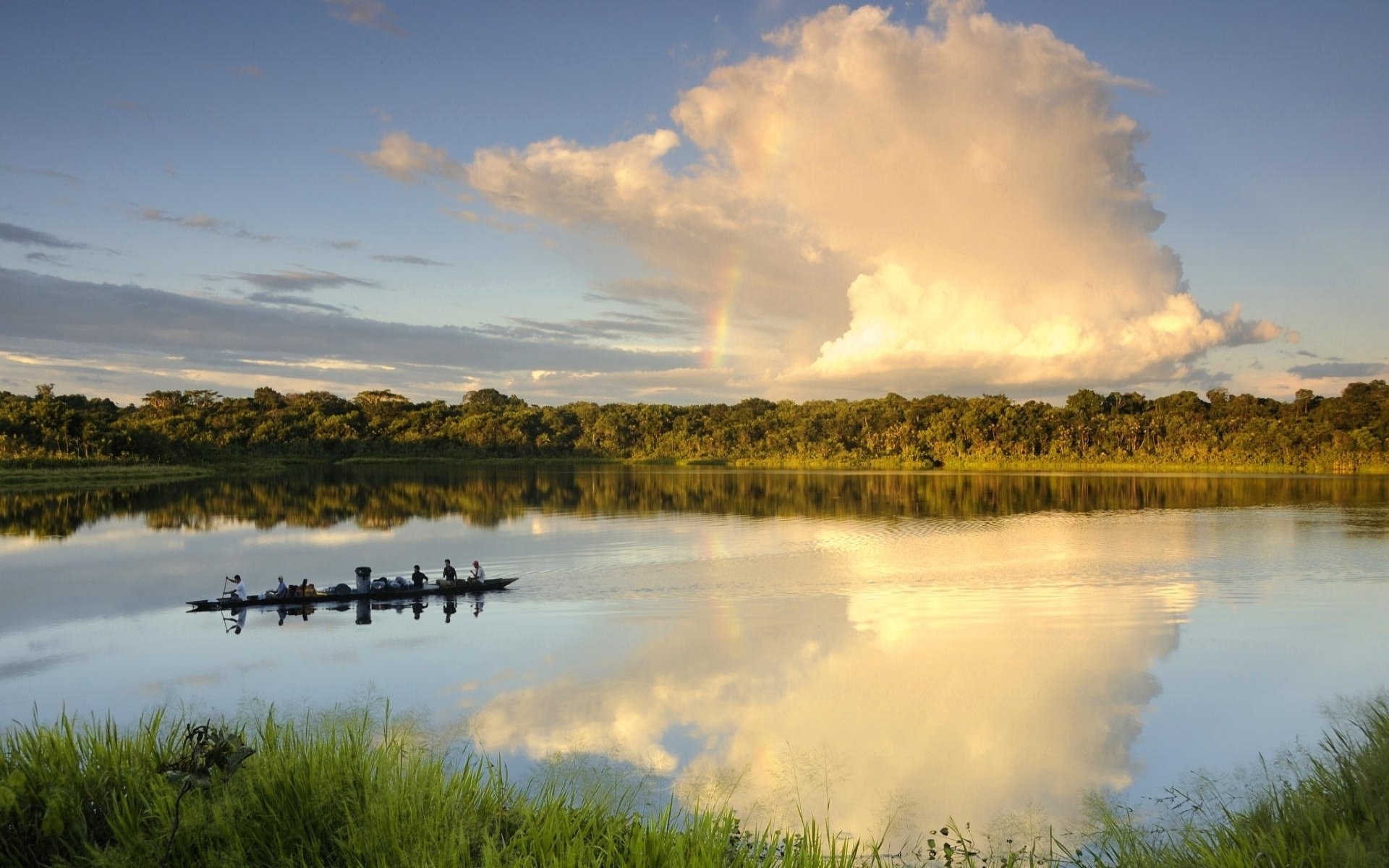 Скачать обои Национальный Парк Ясуни на телефон бесплатно