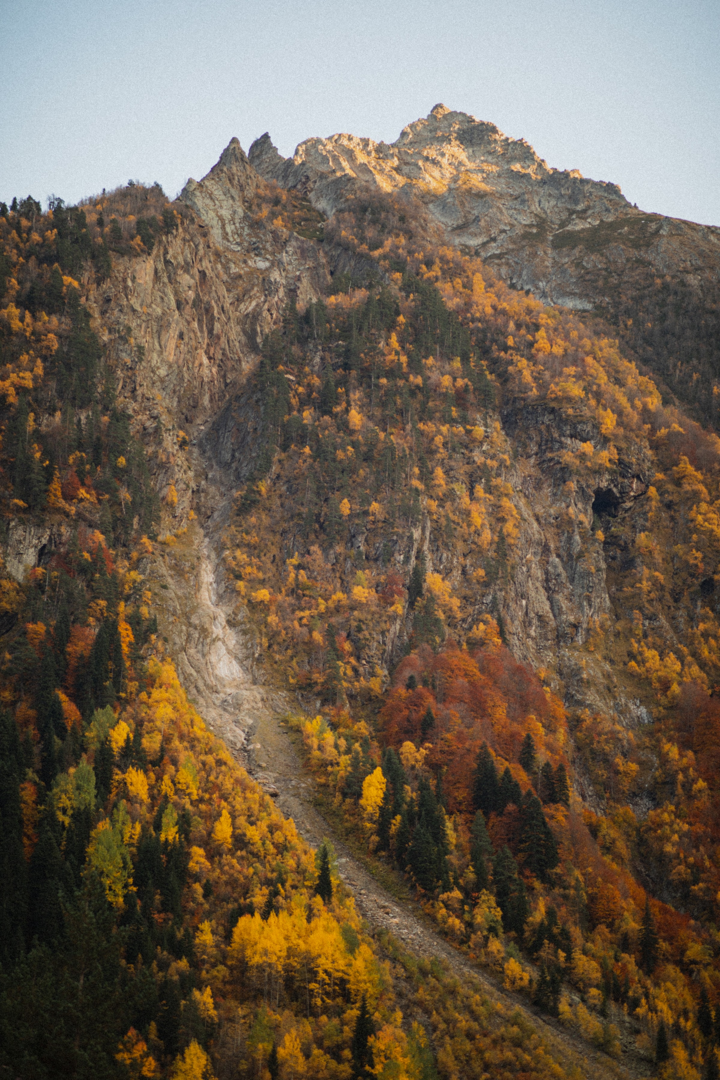 autumn, nature, trees, rocks, vertex, top HD wallpaper