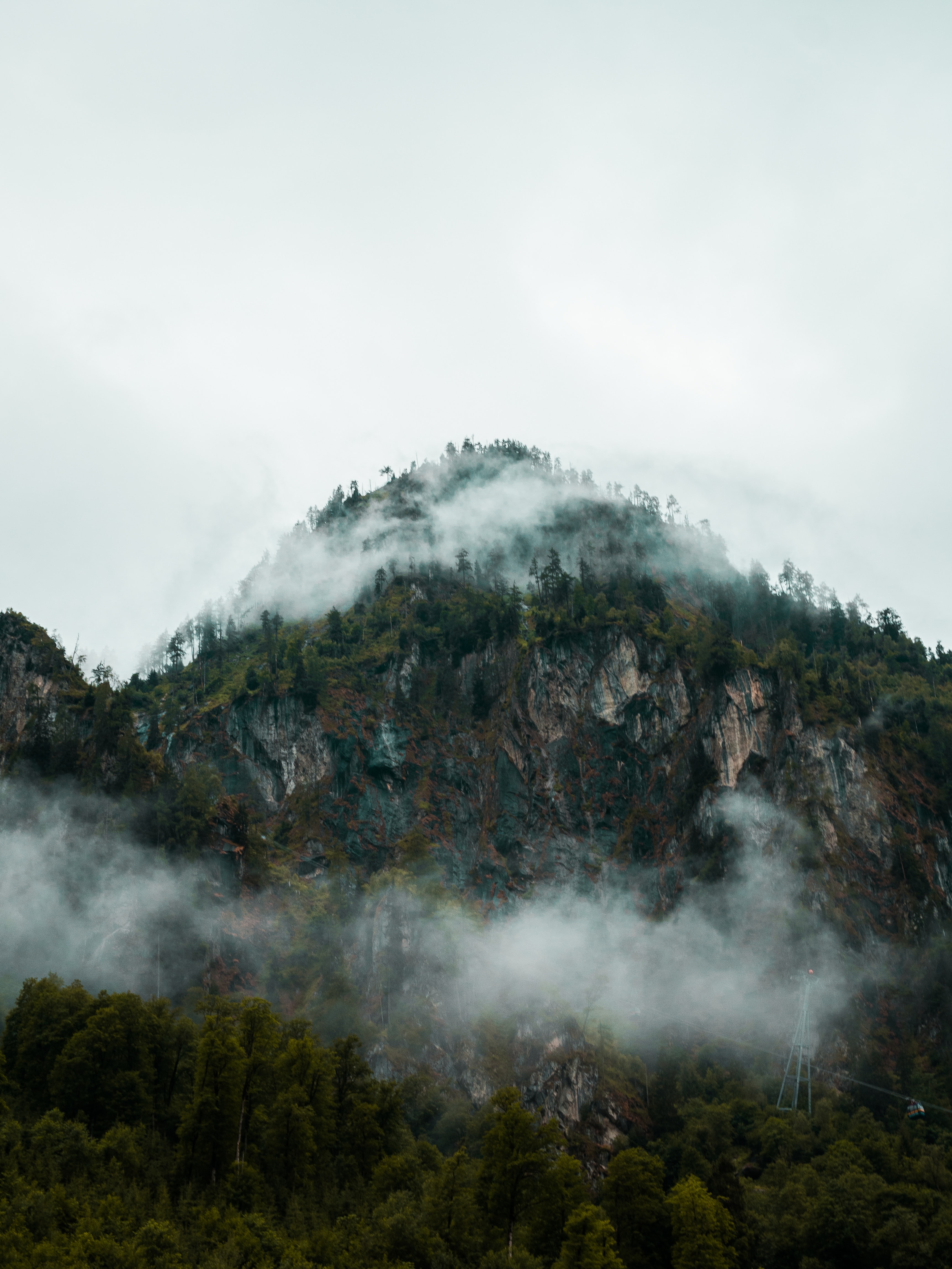 Скачать картинку Скалы, Вершина, Туман, Горы, Лес, Природа в телефон бесплатно.