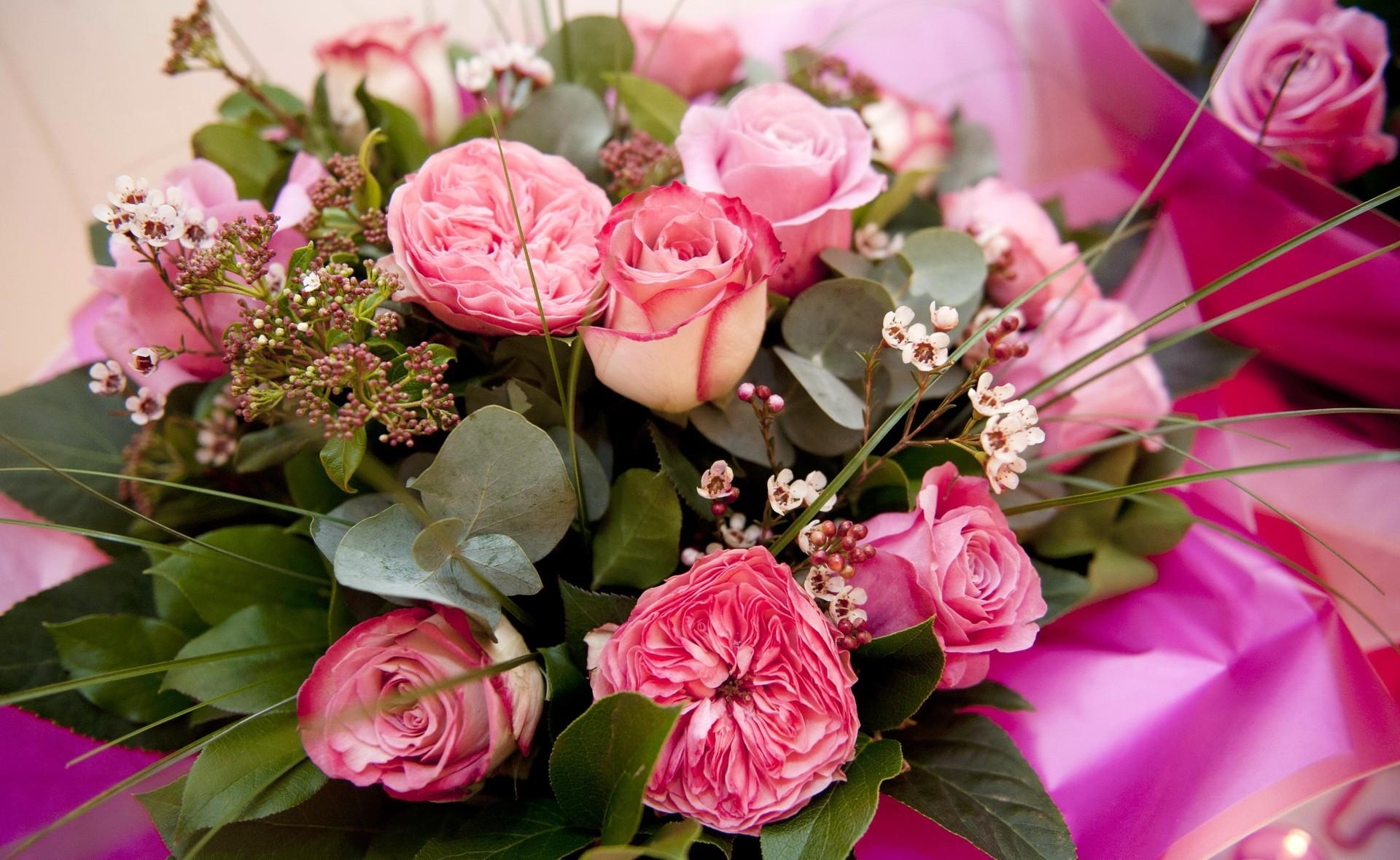 rose flower, flowers, rose, registration, typography, bouquet, tea tree