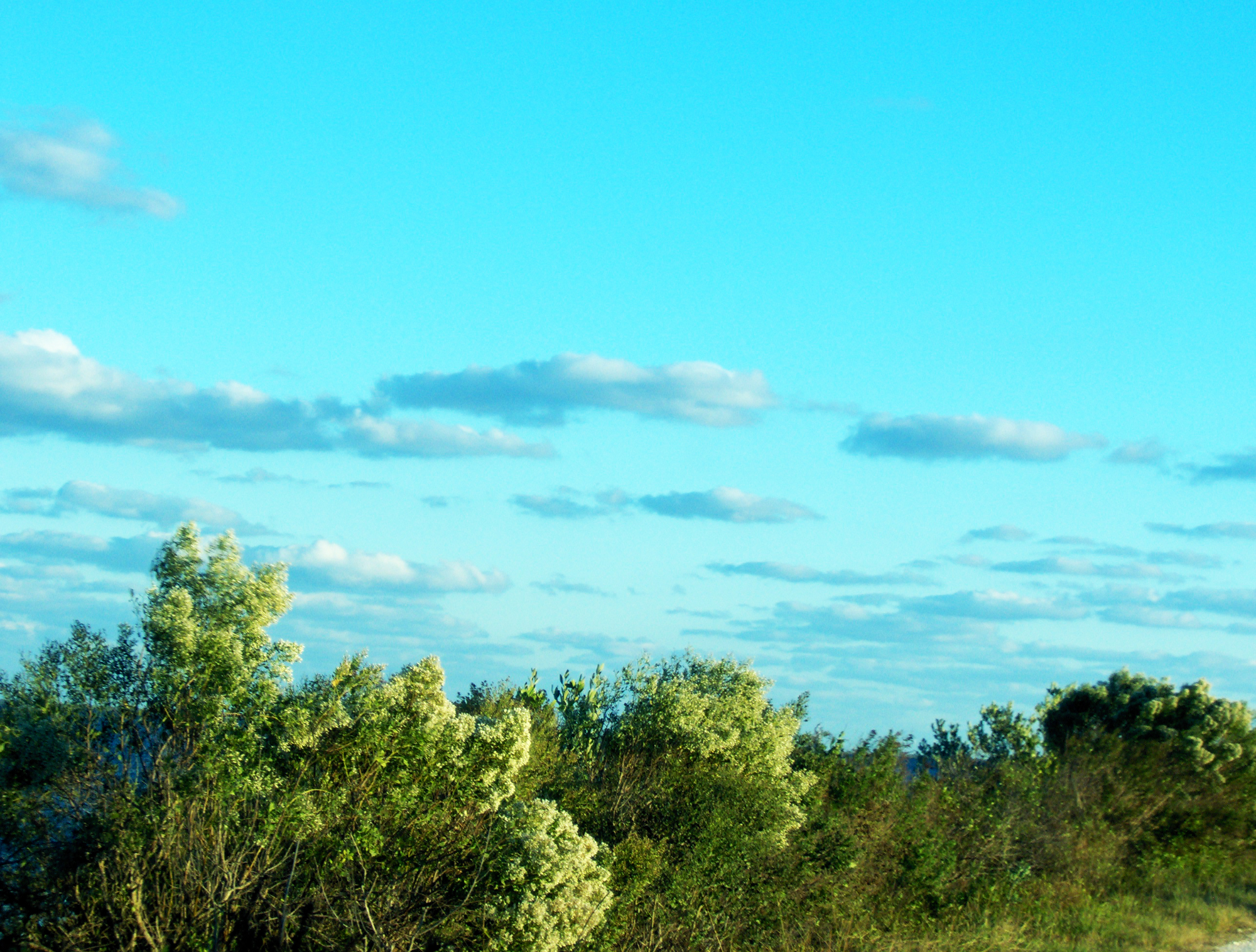 Baixe gratuitamente a imagem Paisagem, Fotografia na área de trabalho do seu PC