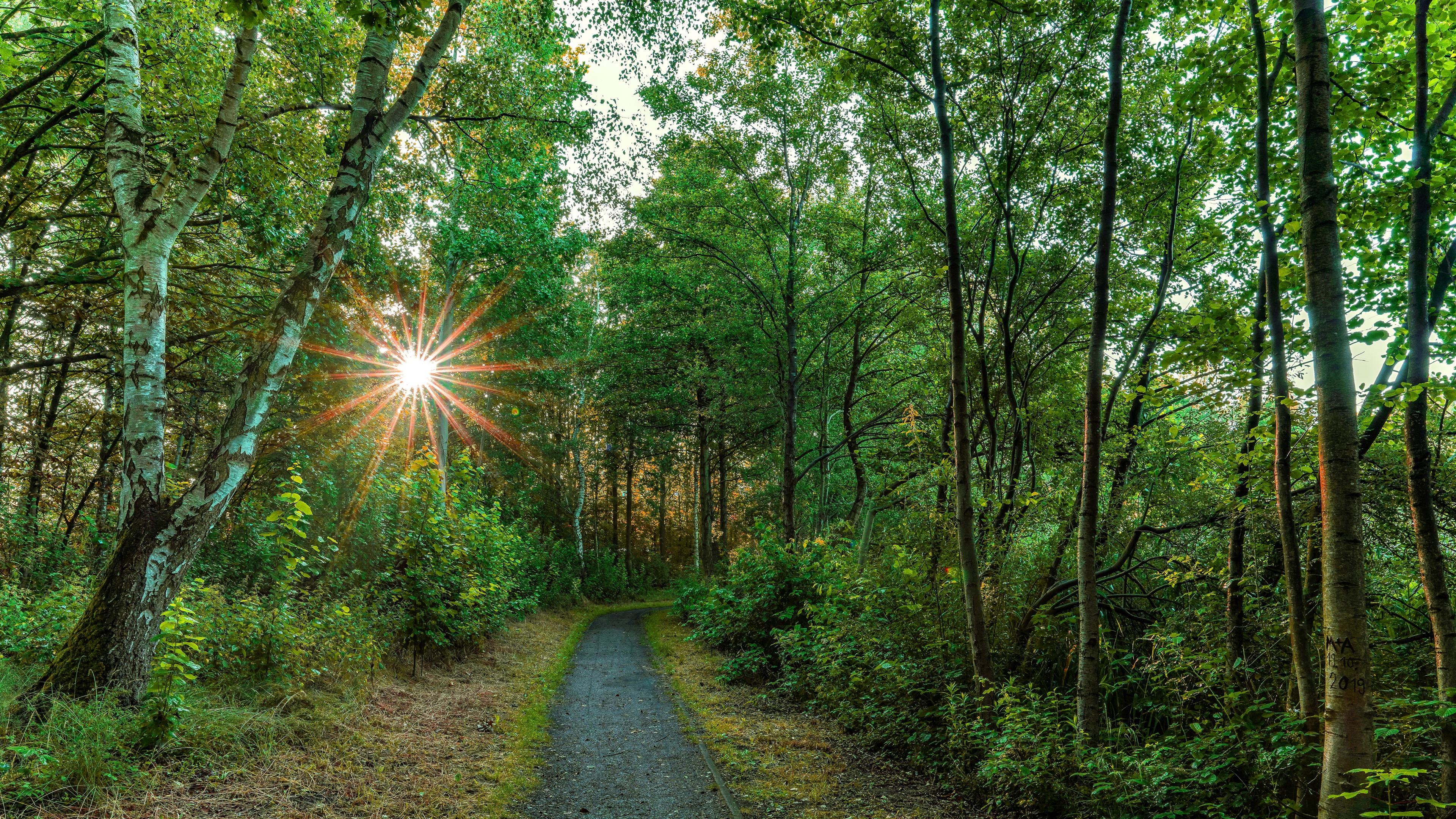 Download mobile wallpaper Sun, Summer, Road, Forest, Path, Man Made for free.