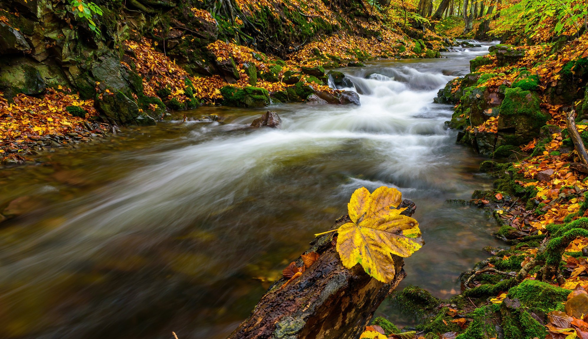 Download mobile wallpaper Nature, Fall, Earth, River for free.