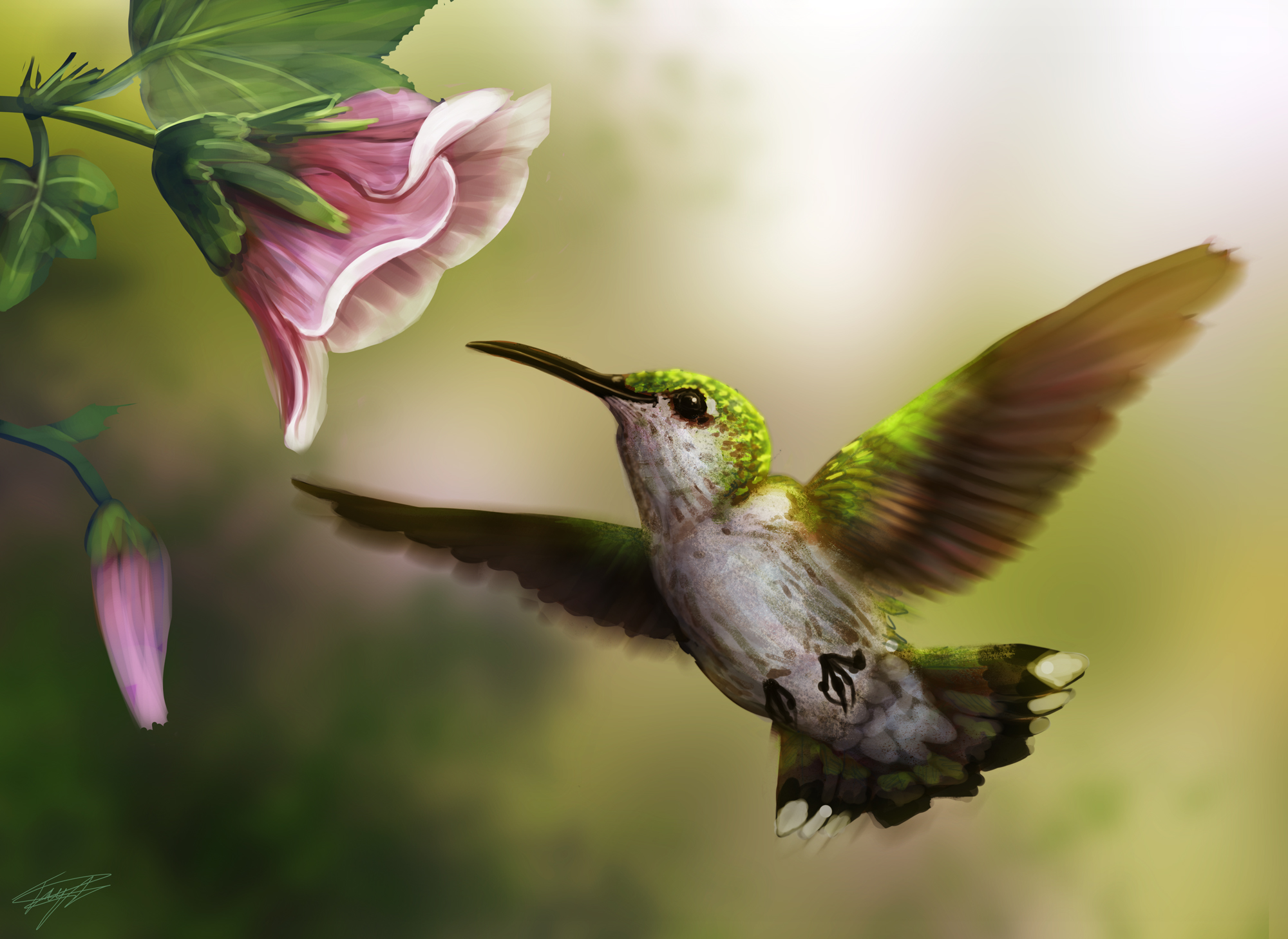 Download mobile wallpaper Flower, Bird, Painting, Artistic, Hummingbird for free.