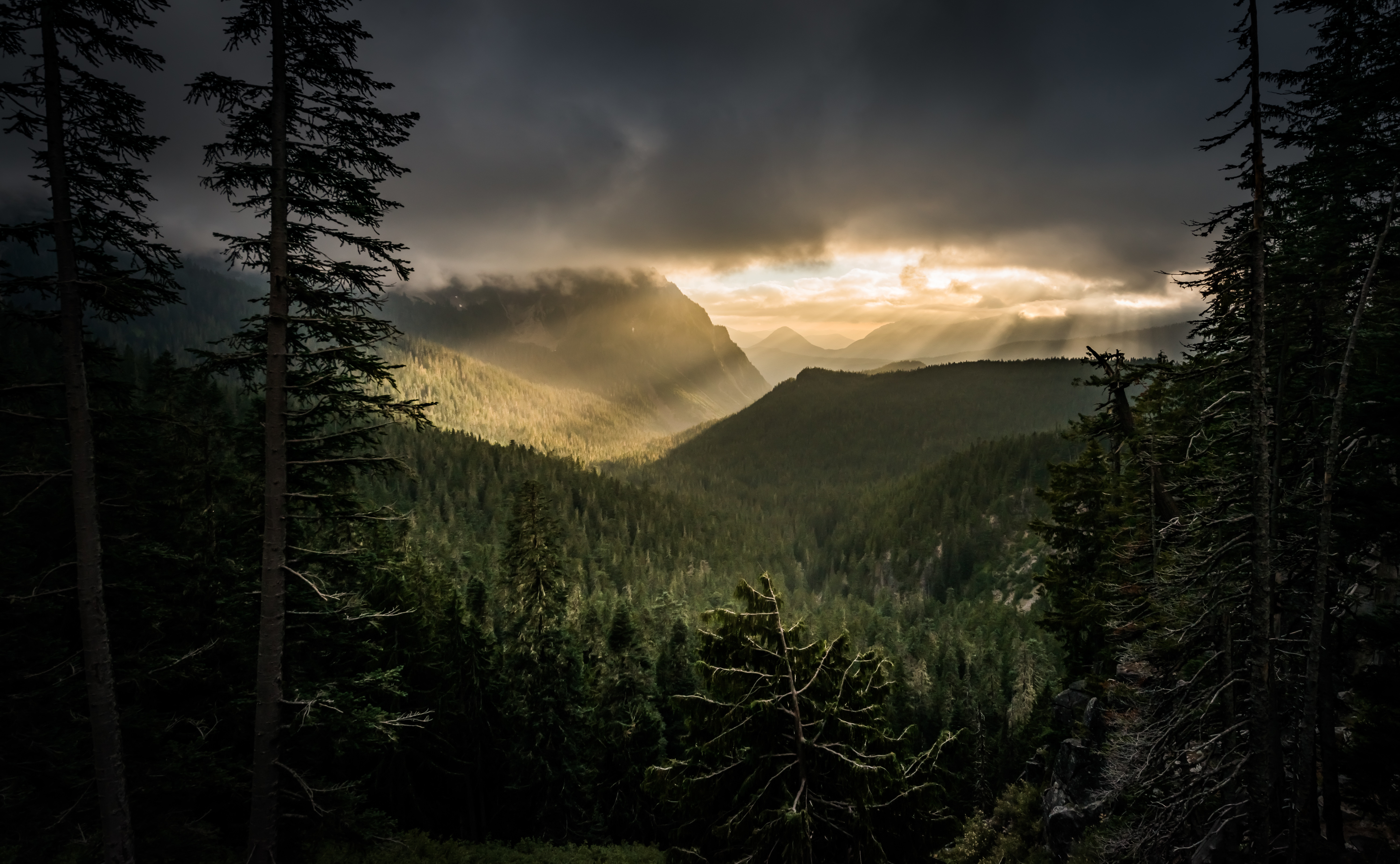 mountains, nature, beams, rays, forest, fog desktop HD wallpaper