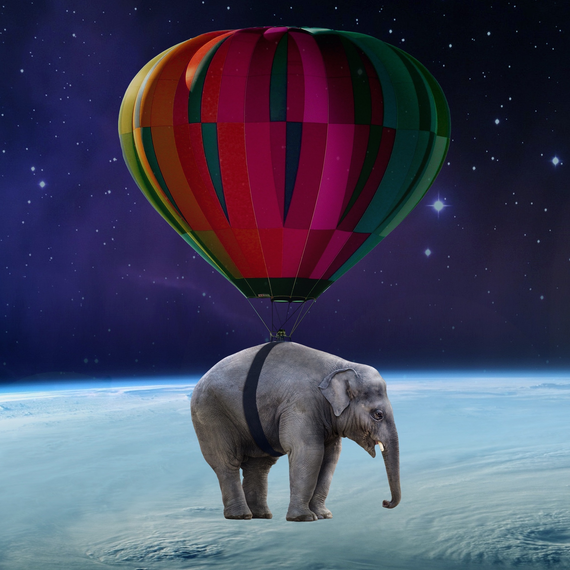 68831 скачать картинку космос, разное, воздушный шар, аэростат, слон, невесомость - обои и заставки бесплатно