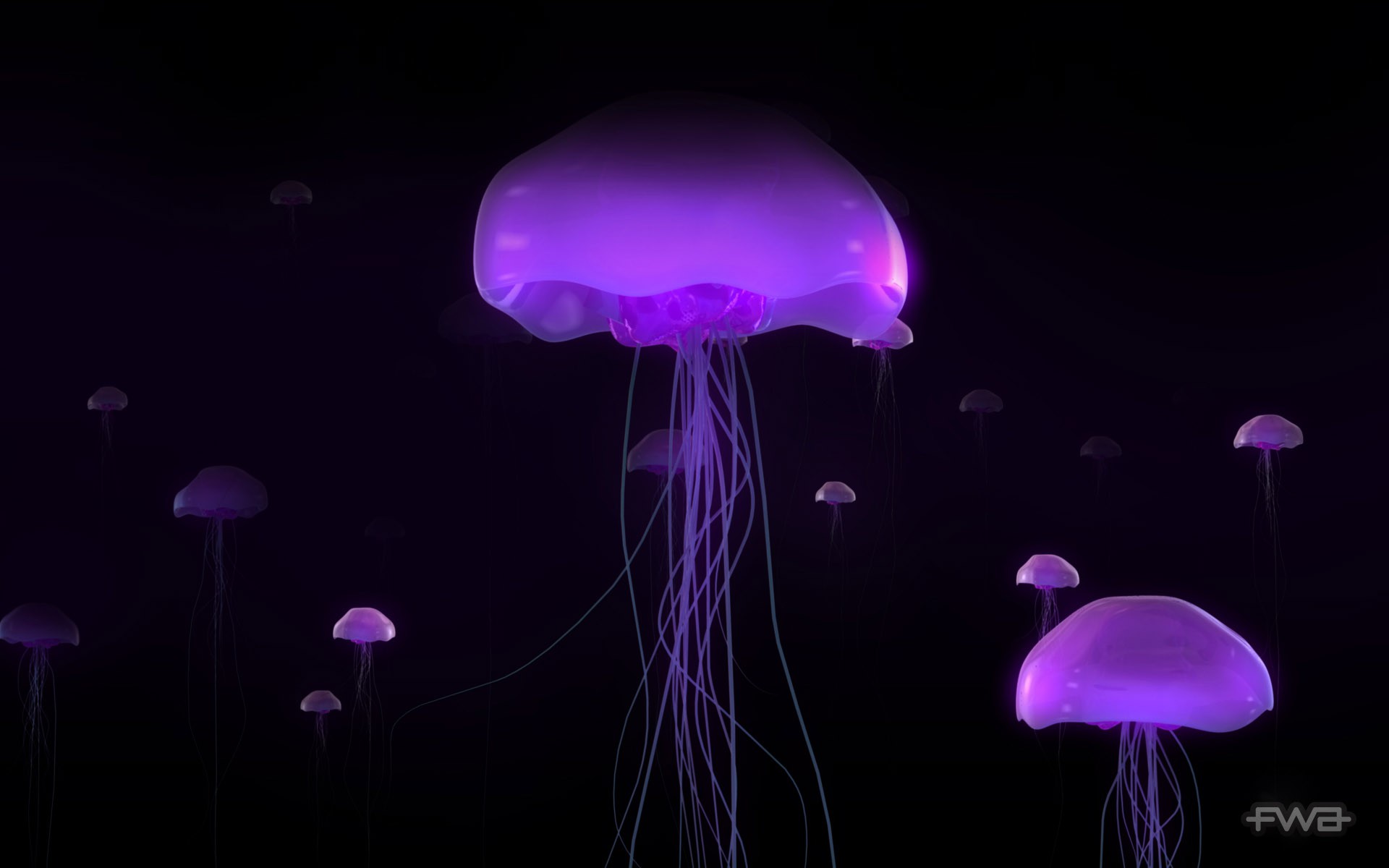 Free download wallpaper Jellyfish, Fishes, Animal, Purple on your PC desktop