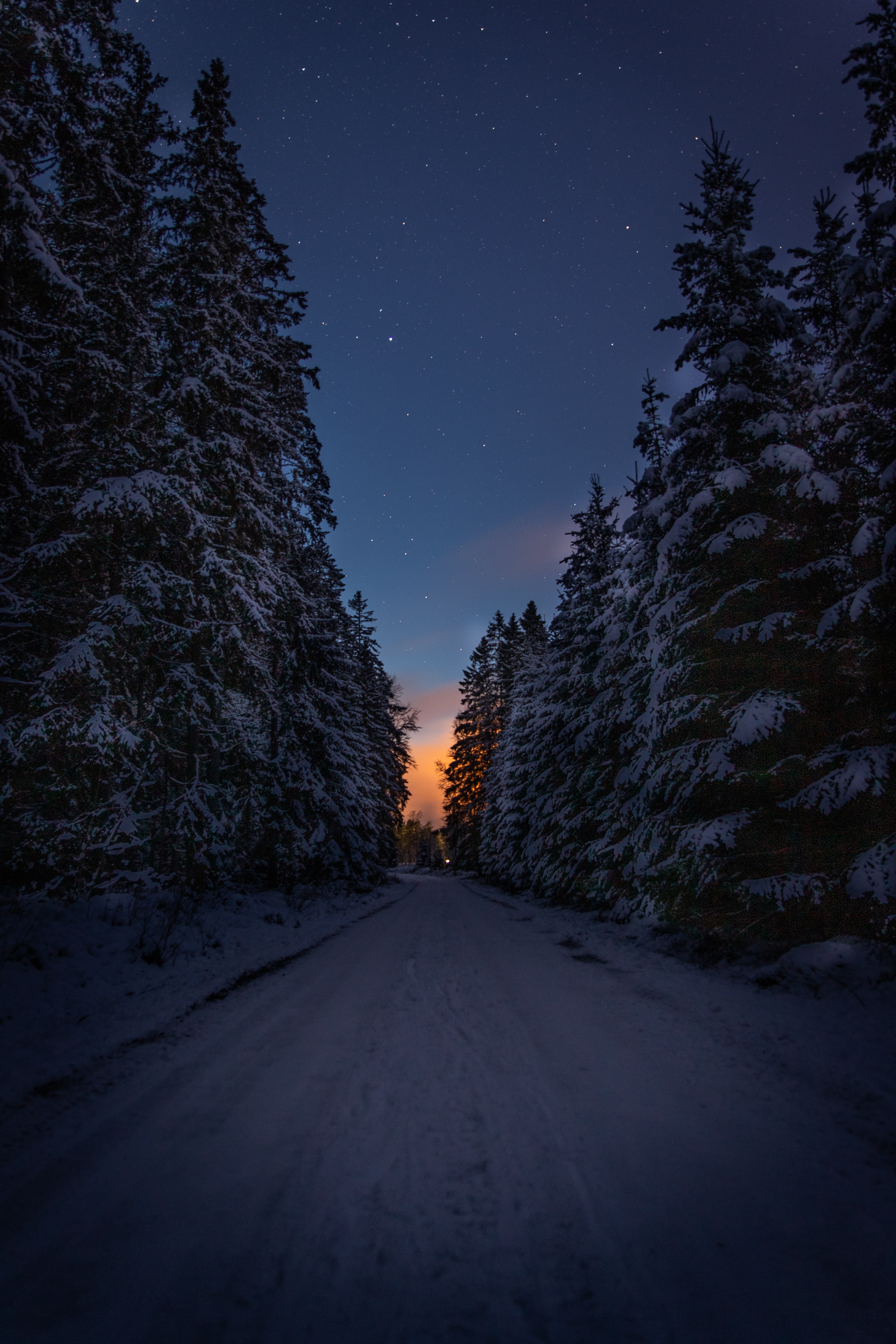 dark, road, winter, snow, trees, twilight, dusk
