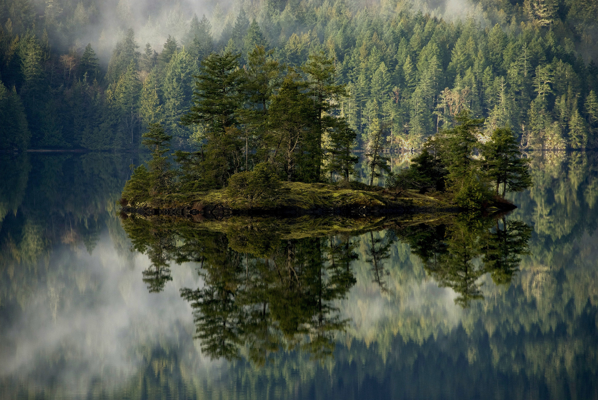 83092 завантажити картинку озеро, природа, відображення, ліс, туман, острів - шпалери і заставки безкоштовно