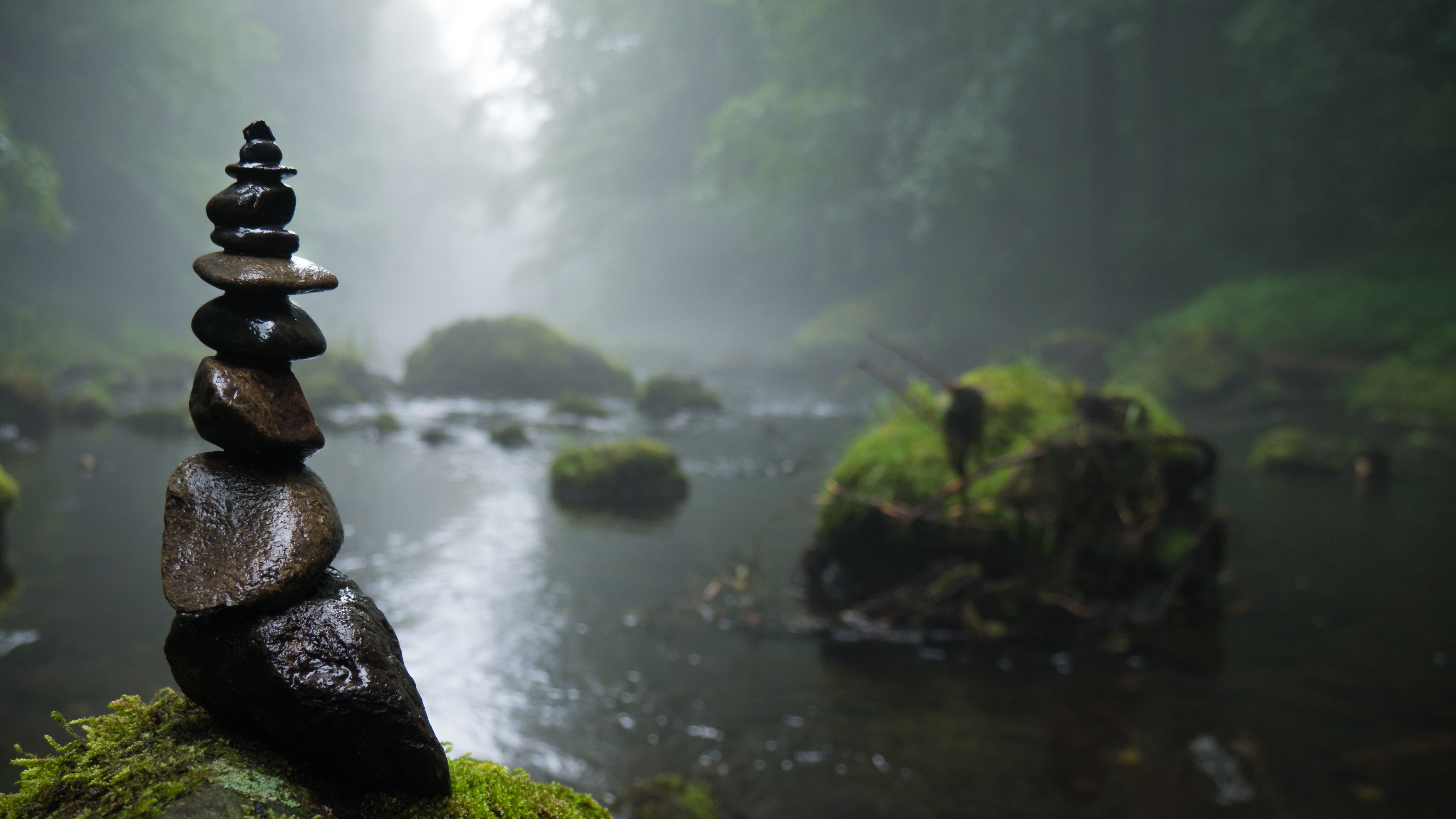 Laden Sie das Natur, Nebel, Fluss, Stein, Moos, Zen, Religiös-Bild kostenlos auf Ihren PC-Desktop herunter