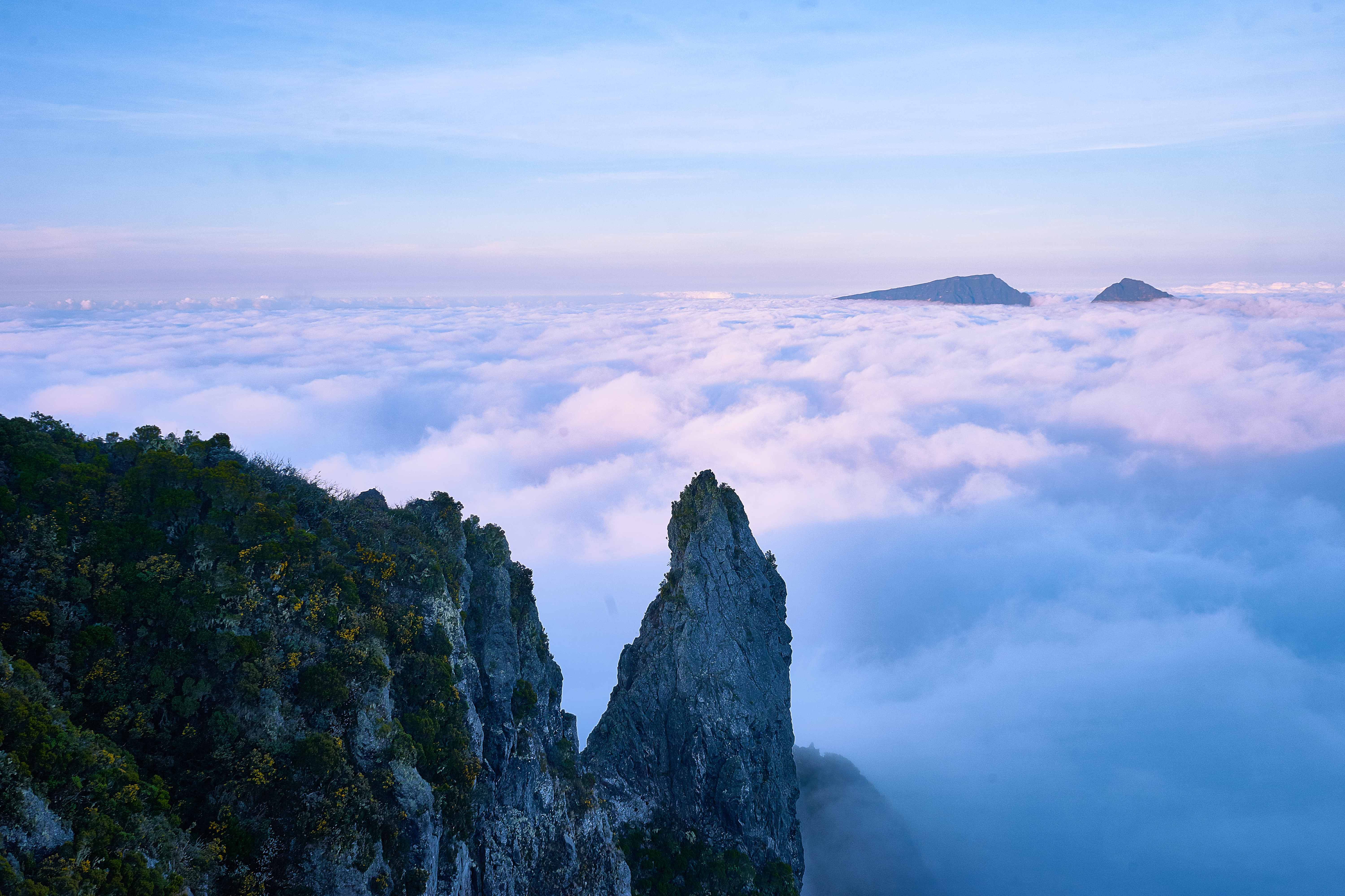 Laden Sie das Natur, Horizont, Nebel, Erde/natur-Bild kostenlos auf Ihren PC-Desktop herunter