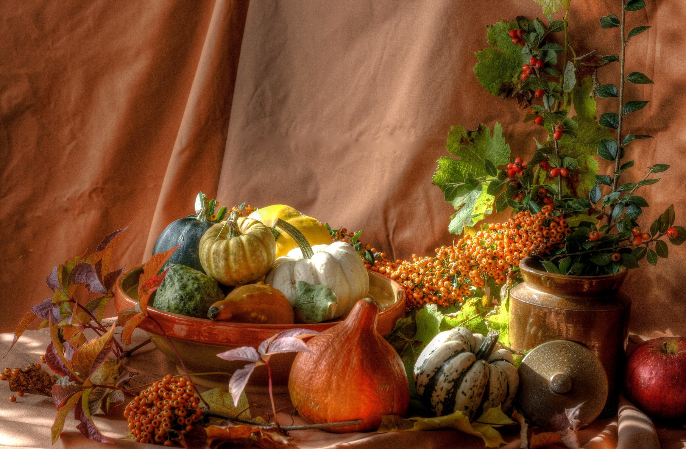Download mobile wallpaper Bush, Berries, Food, Still Life, Pumpkin for free.