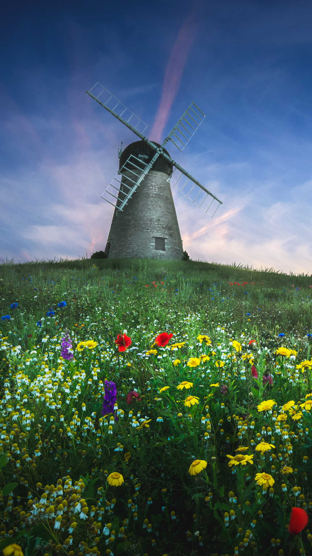 Download mobile wallpaper Grass, Flower, Field, Meadow, Windmill, Man Made for free.