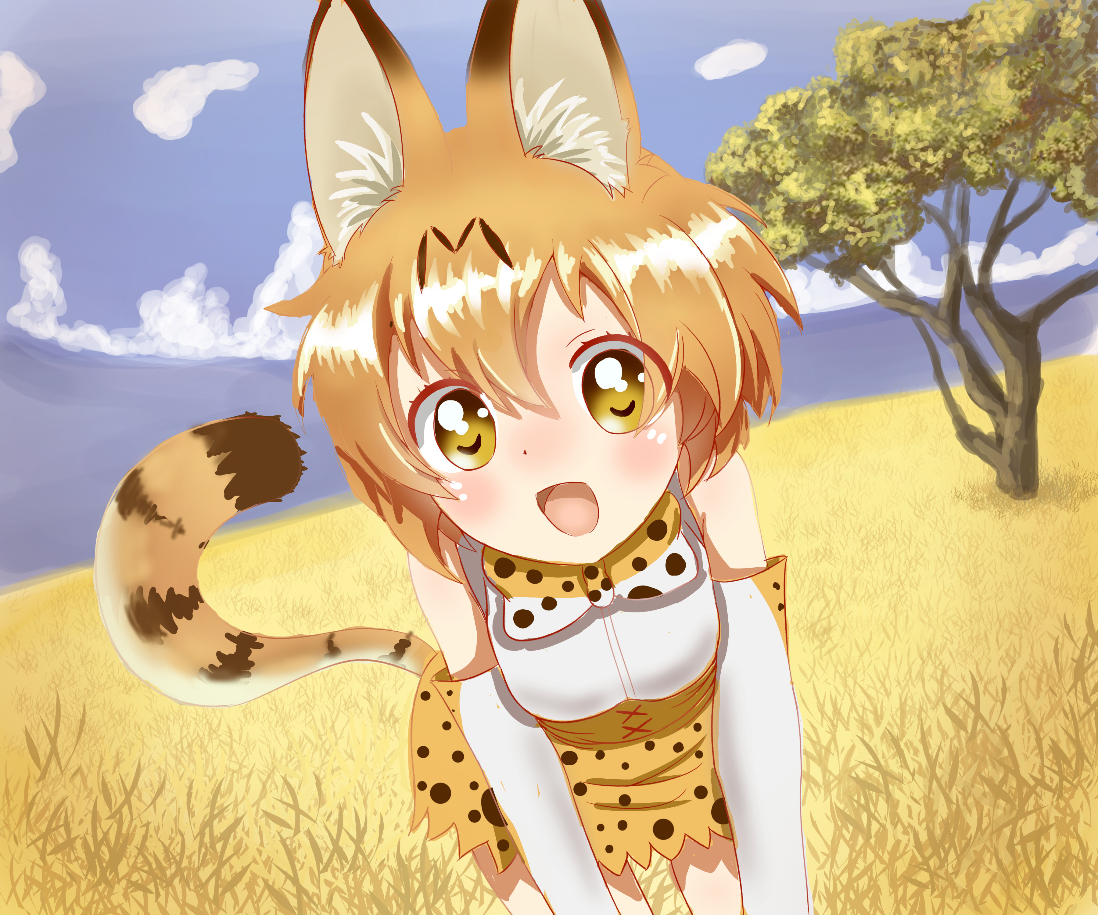 Laden Sie das Animes, Serval (Kemono Freunde), Kemono Friends-Bild kostenlos auf Ihren PC-Desktop herunter